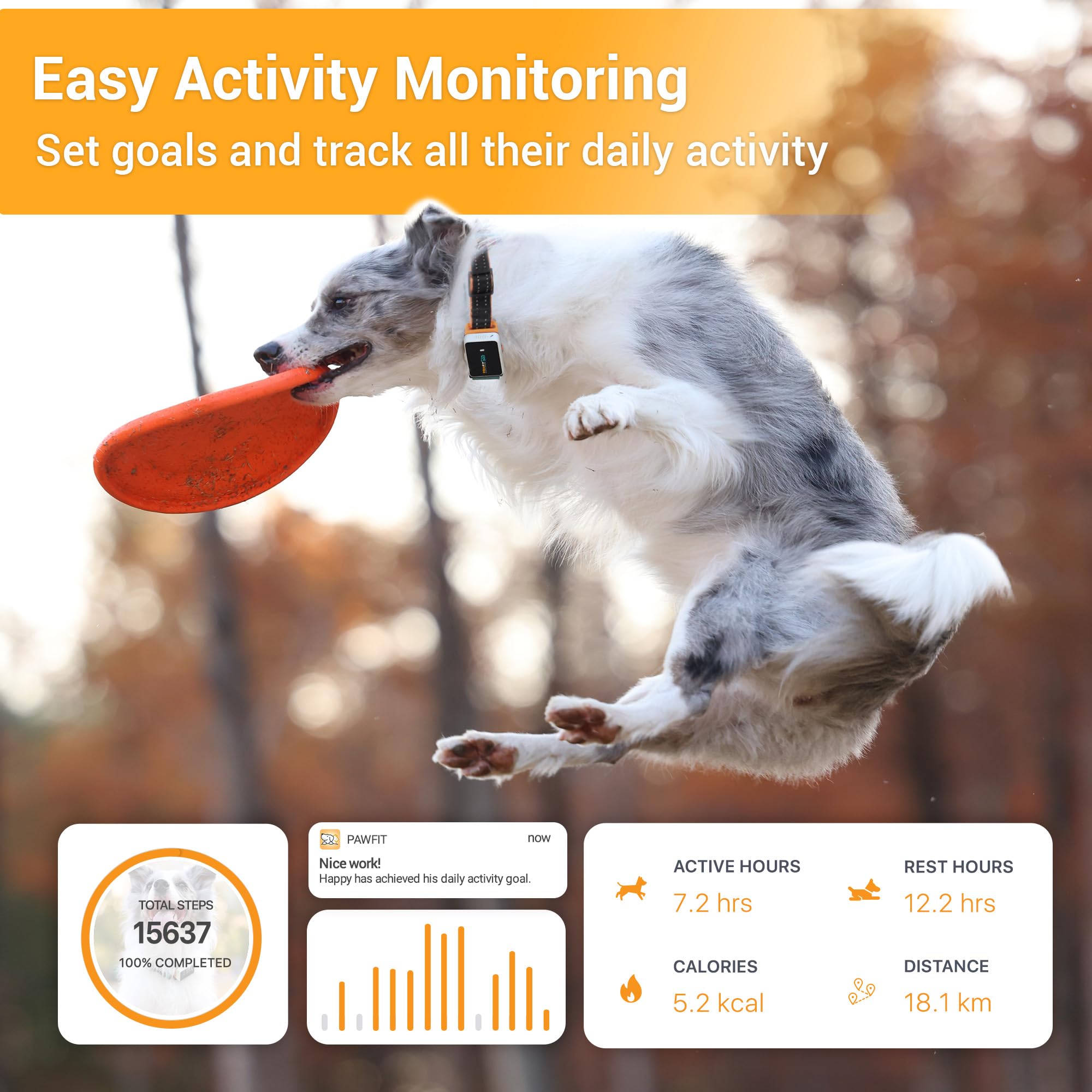 Pawfit 3 GPS Dog Tracker - 4G Live Tracking, Smart Alerts, Waterproof, Fits All Collars, Black
