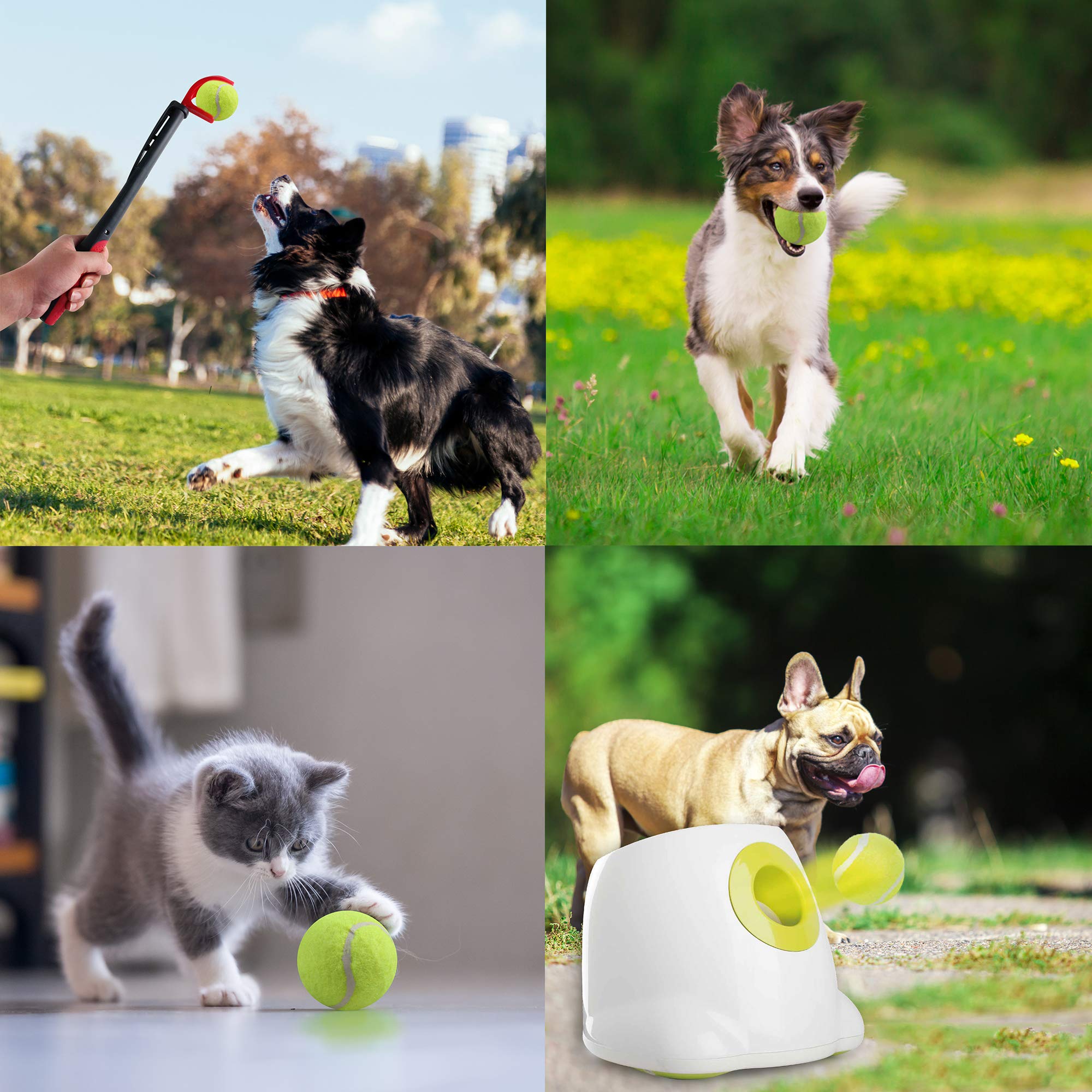 PetPrime 6PCS 2.5 Tennis Balls, Suitable for Max Dog Automatic Ball Launcher Interactive Dog Fetch Toy Pet Ball Thrower Throwing