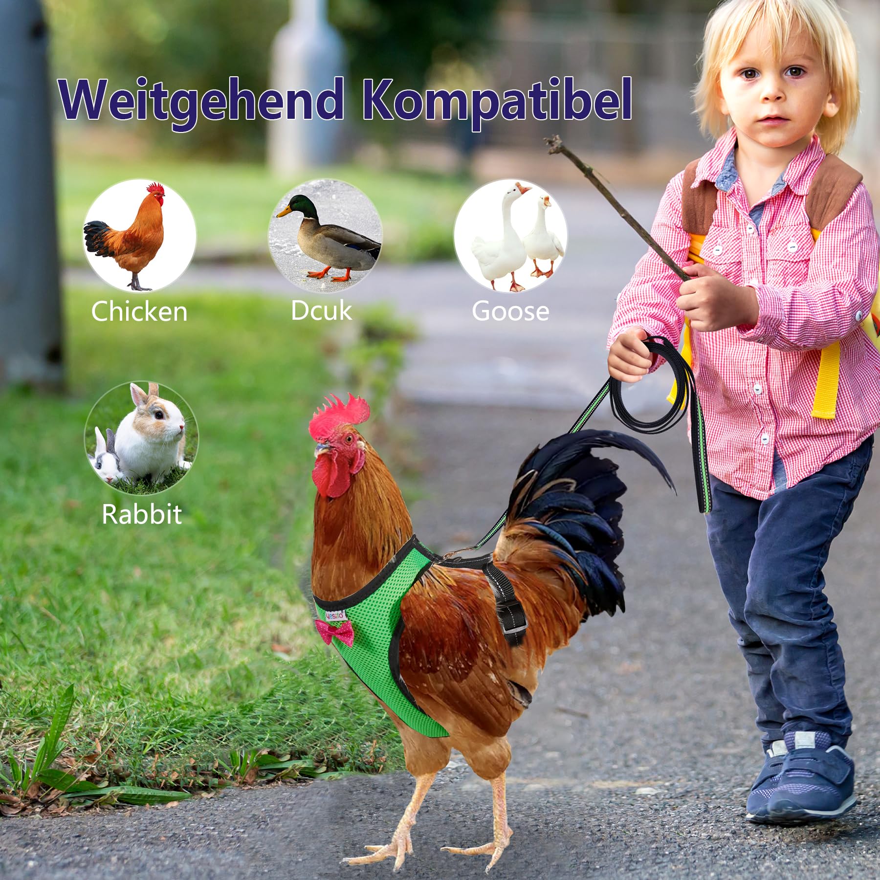Yesito Chicken Harness Hen Size With6-foot Matching Belt - Adjustable, Elastic, Comfortable, Breathable, Small Size, Suitable fo