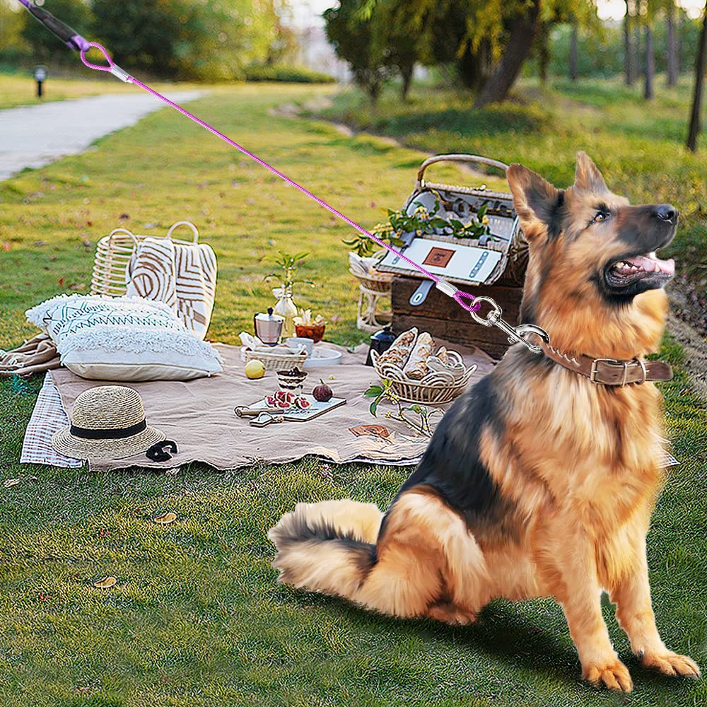 Chew Proof Dog Leash Extension,Support Add To Any Leash & Collar & Harness,Dog Lead Extender For Large And Medium Dogs Walking R