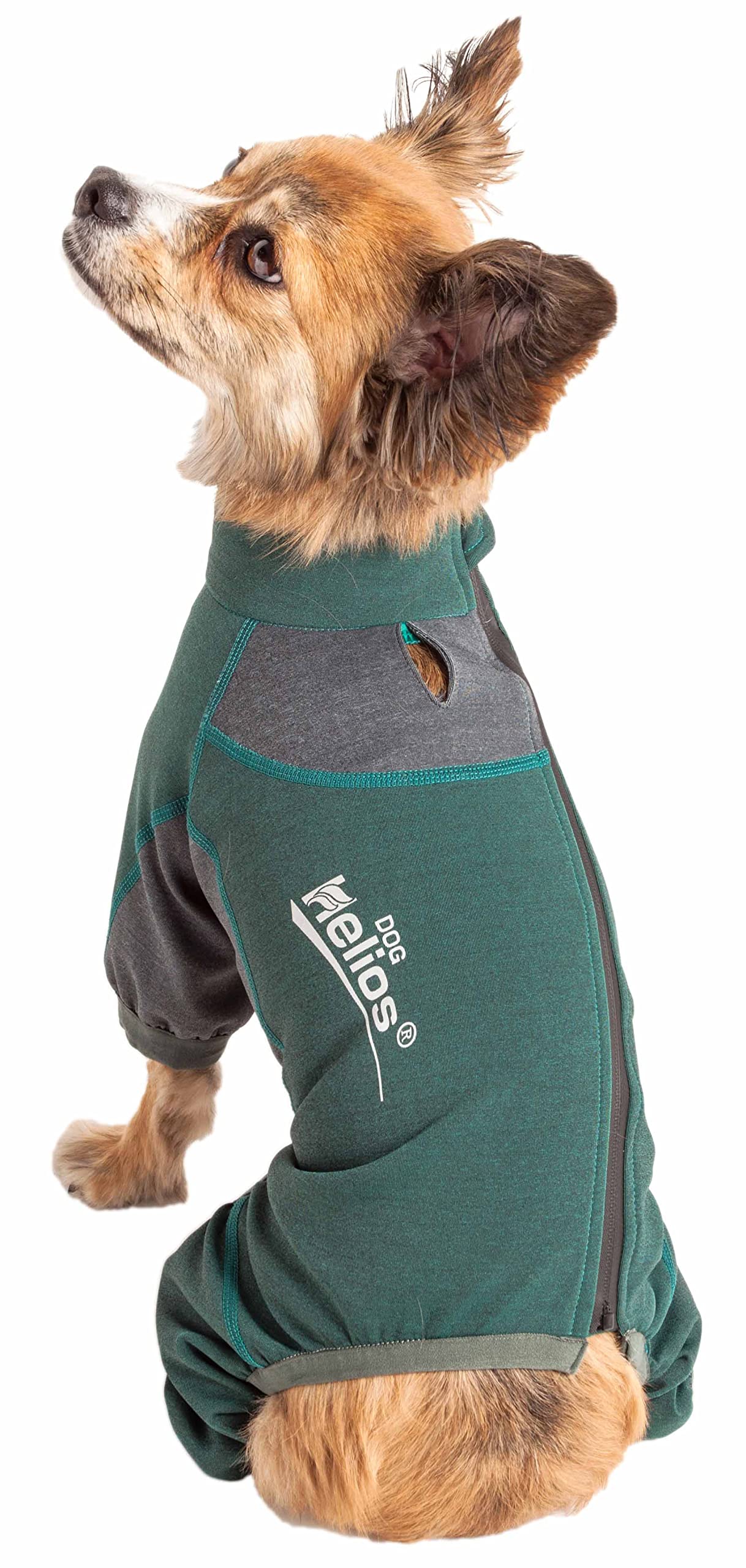 Dog Helios ® 'Rufflex' Mediumweight 4-Way-Stretch Breathable Full Bodied Performance Dog Warmup Track Suit, Medium, Green