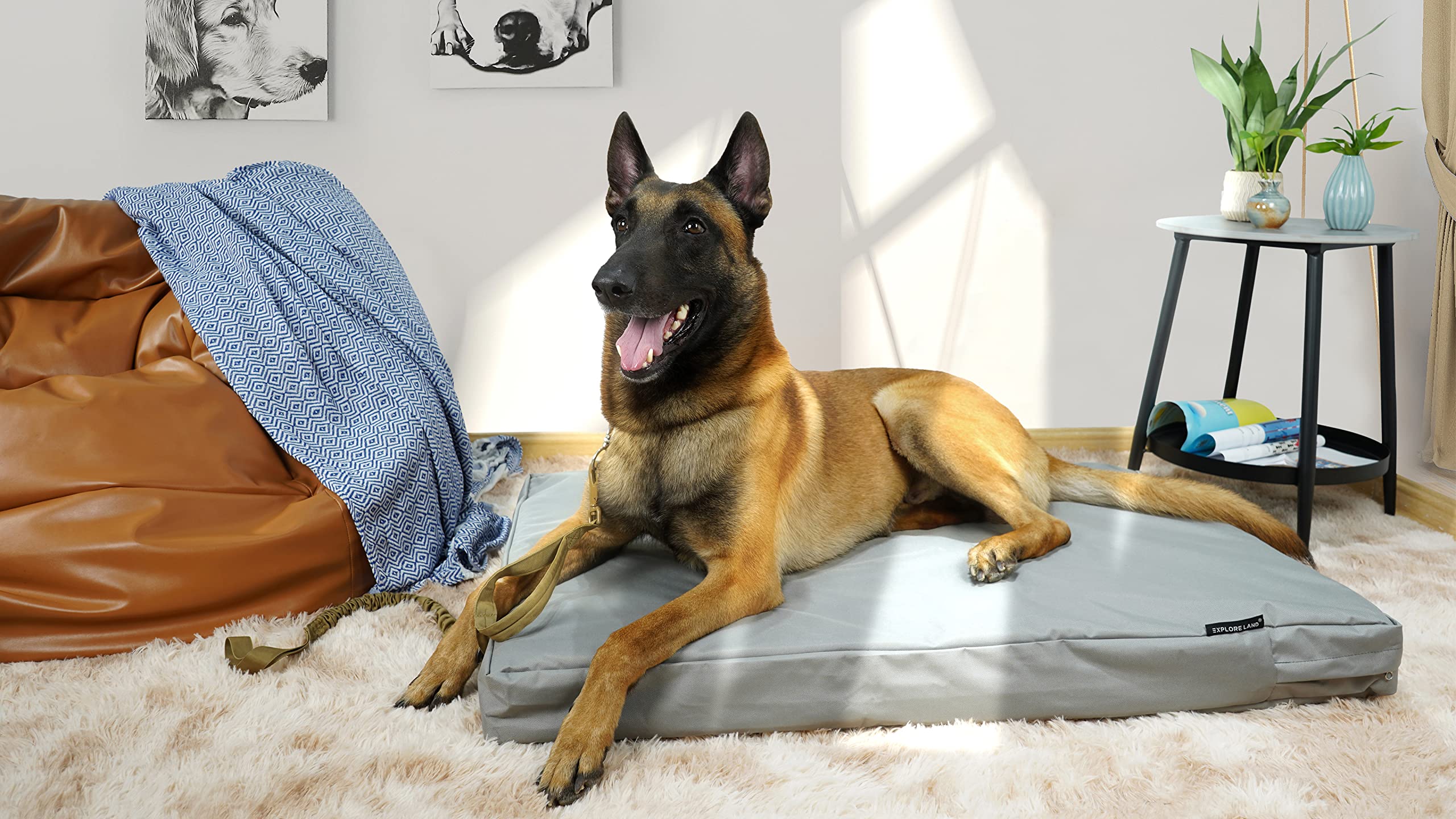 Explore Land Waterproof Dog Bed Cover Canvas Washable Dog Crate Pad Replacement Cover For 54 Inch Crate, 53Lx36Wx4H Inch, Gray