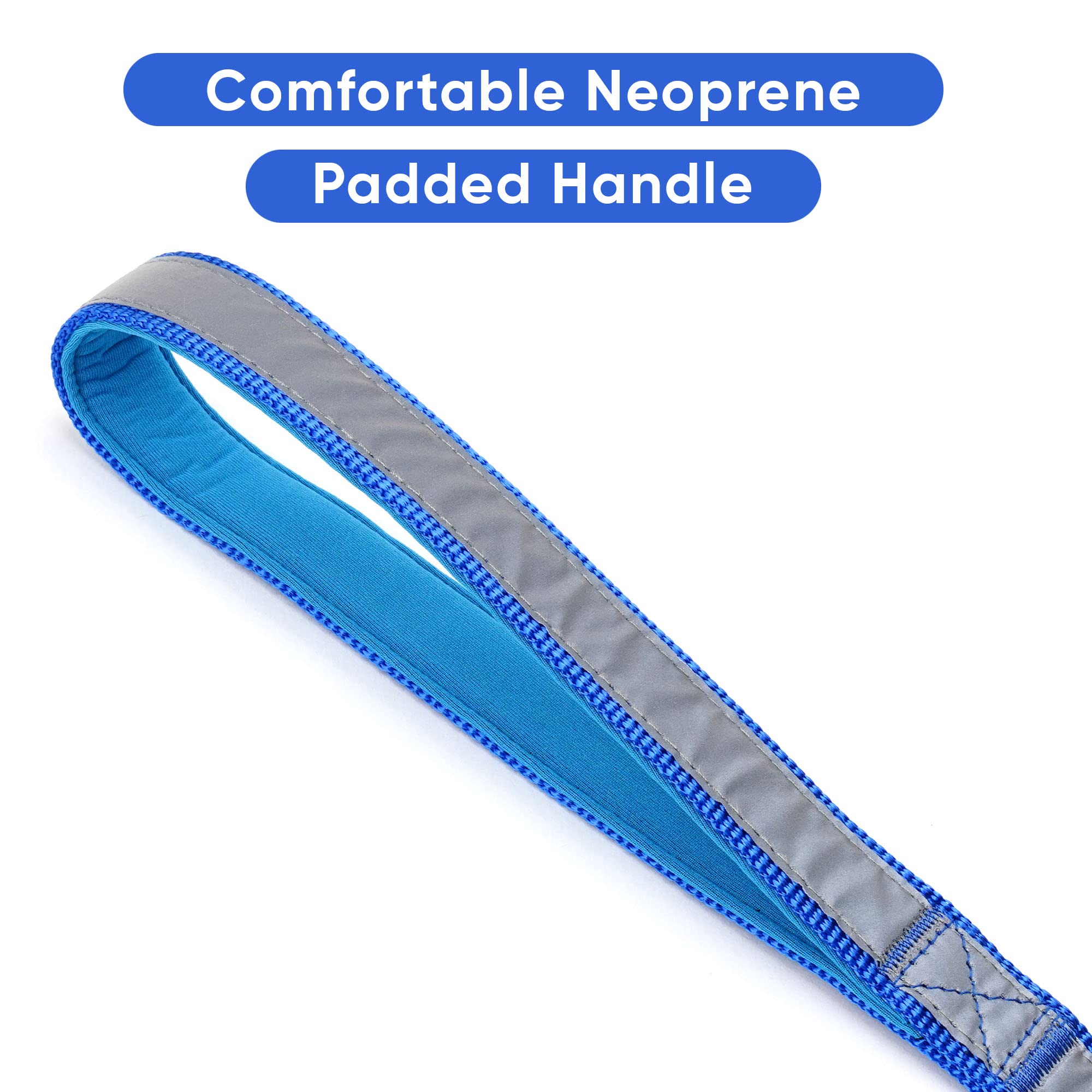 Pawtitas 6 Ft Padded Dog Leash With Comfortable Neoprene Padding Handle - Blue Lead | Medium Reflective Dog Leash With Highly Reflective Band Perfect For Medium And Large Dogs And Puppies.