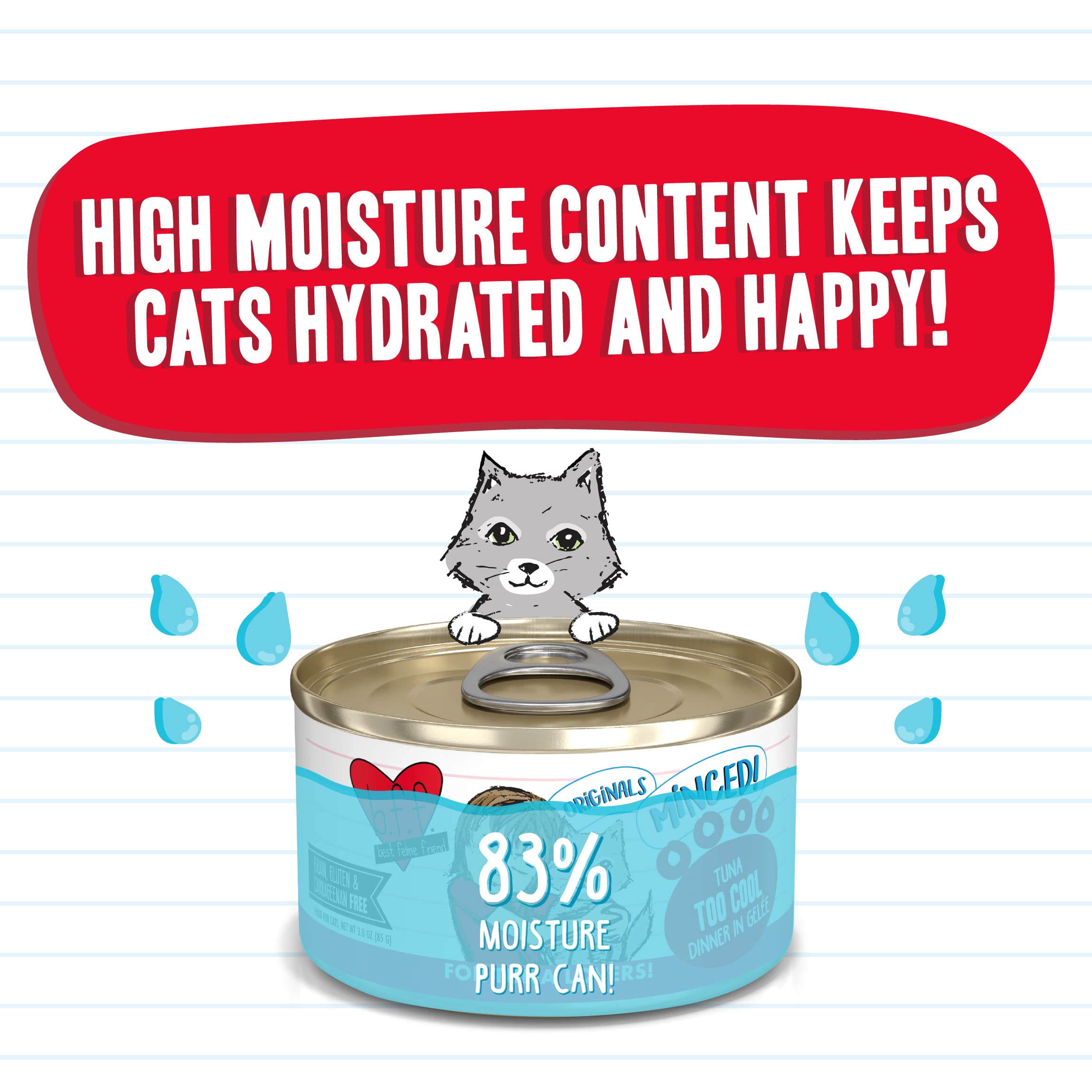 Weruva Best Feline Friend (B.F.F.) Tuna Too Cool with Red Meat Tuna in Gelee Cat Food, 3oz Can (Pack of 24)
