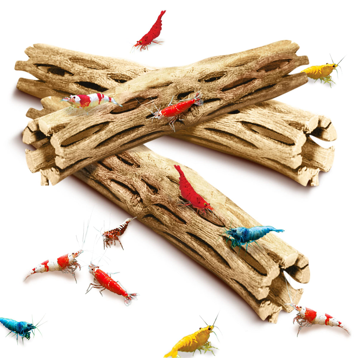 Sungrow Cholla Wood, 5?Climbing Logs, Chew Toy, Aquarium Fish, Snail & Shrimp Driftwood, D?Or Adds Raw Beauty, 3 Pack