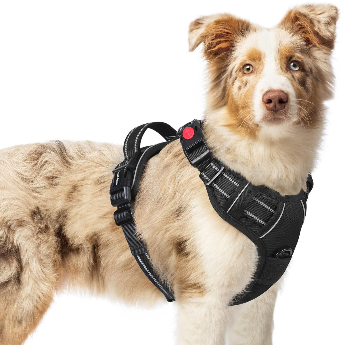 Rabbitgoo Dog Harness Medium Sized, No Pull Pet Harness With 3 Buckles, Adjustable Soft Padded Pooch Vest With Instant Control Handle, Easy Walking Reflective Pet Vest For Medium Dogs, Black, M