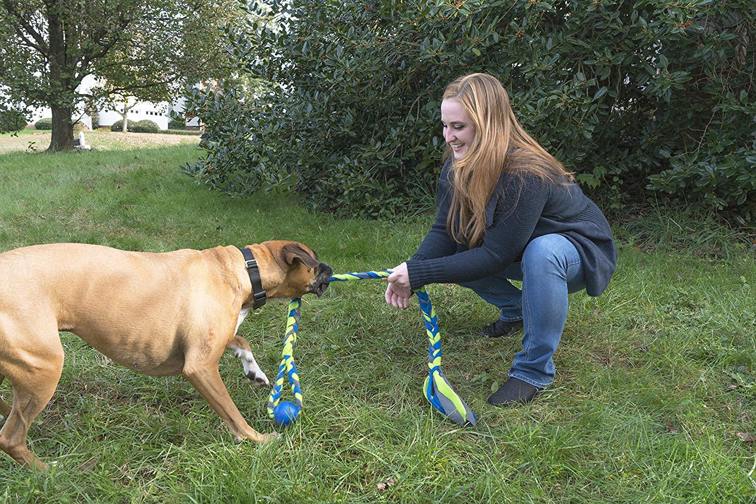 Petsafe Infini-Tug Dog Toy