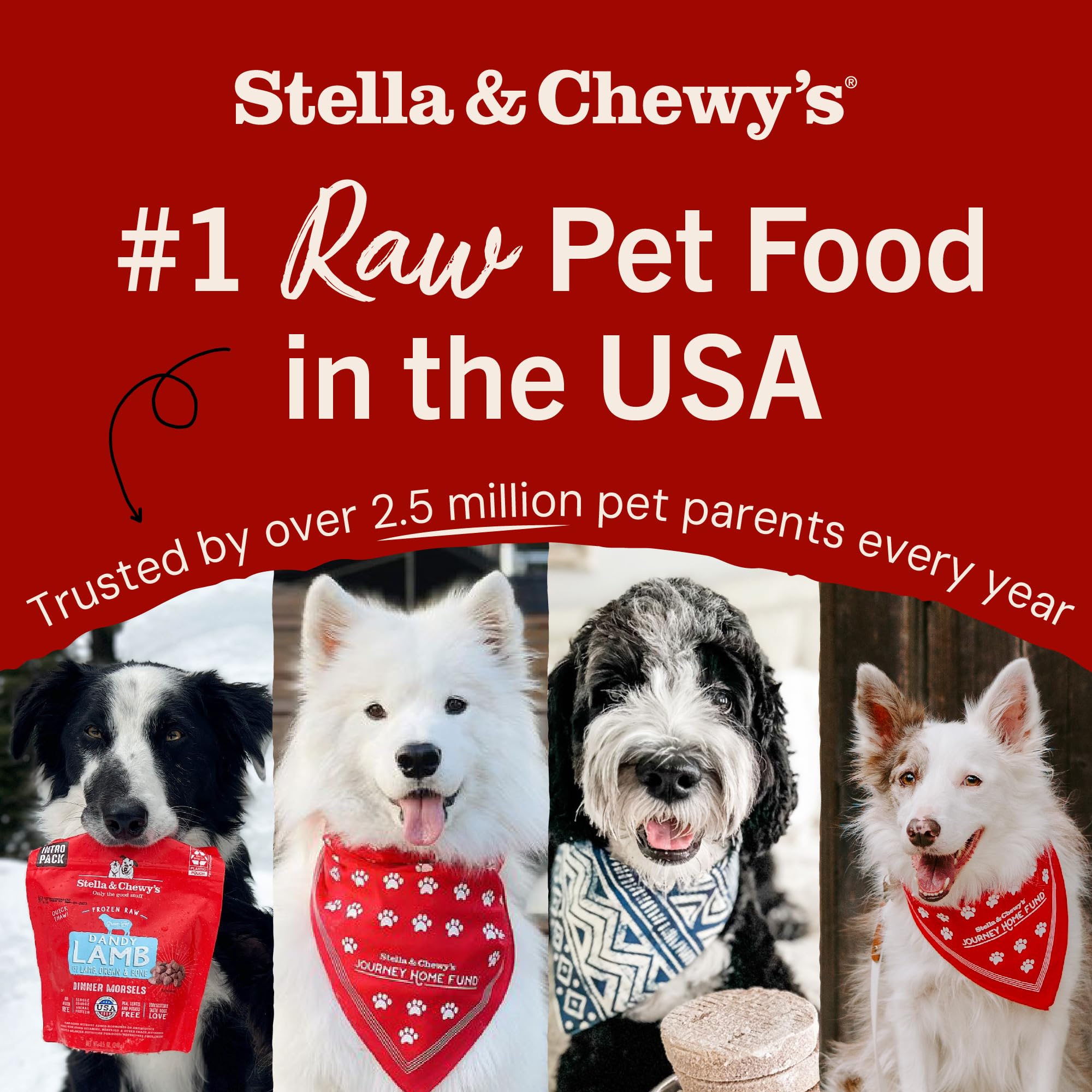 Stella & Chewys Freeze Dried Raw Dinner Patties - Crafted for Puppies - Grain Free, Protein Rich Perfectly Puppy Beef & Salmon