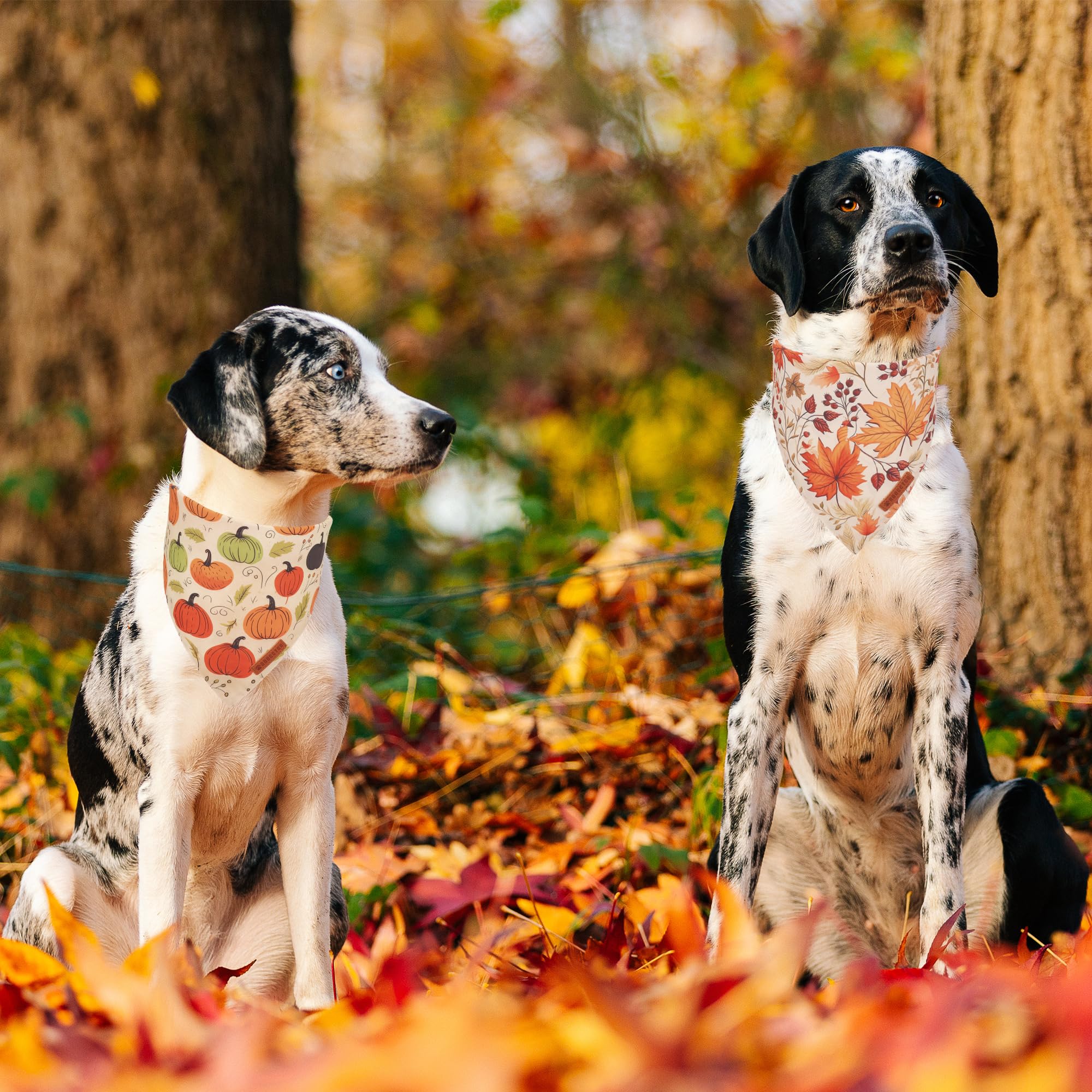 ADOGGYGO Fall Dog Bandana, Pumpkin Maple Leaf Autumn Thanksgiving Pet Scarf, Adjustable Fit Fall Bandanas for Medium Large Dogs