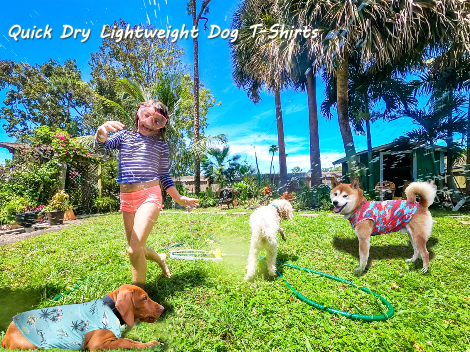 Y-Blue Dog Summer Cooling Shirts,Sun Protection Quick Dry Mesh Breathable Small Chihuahua Tee-Shirt,Red+Blue Xs