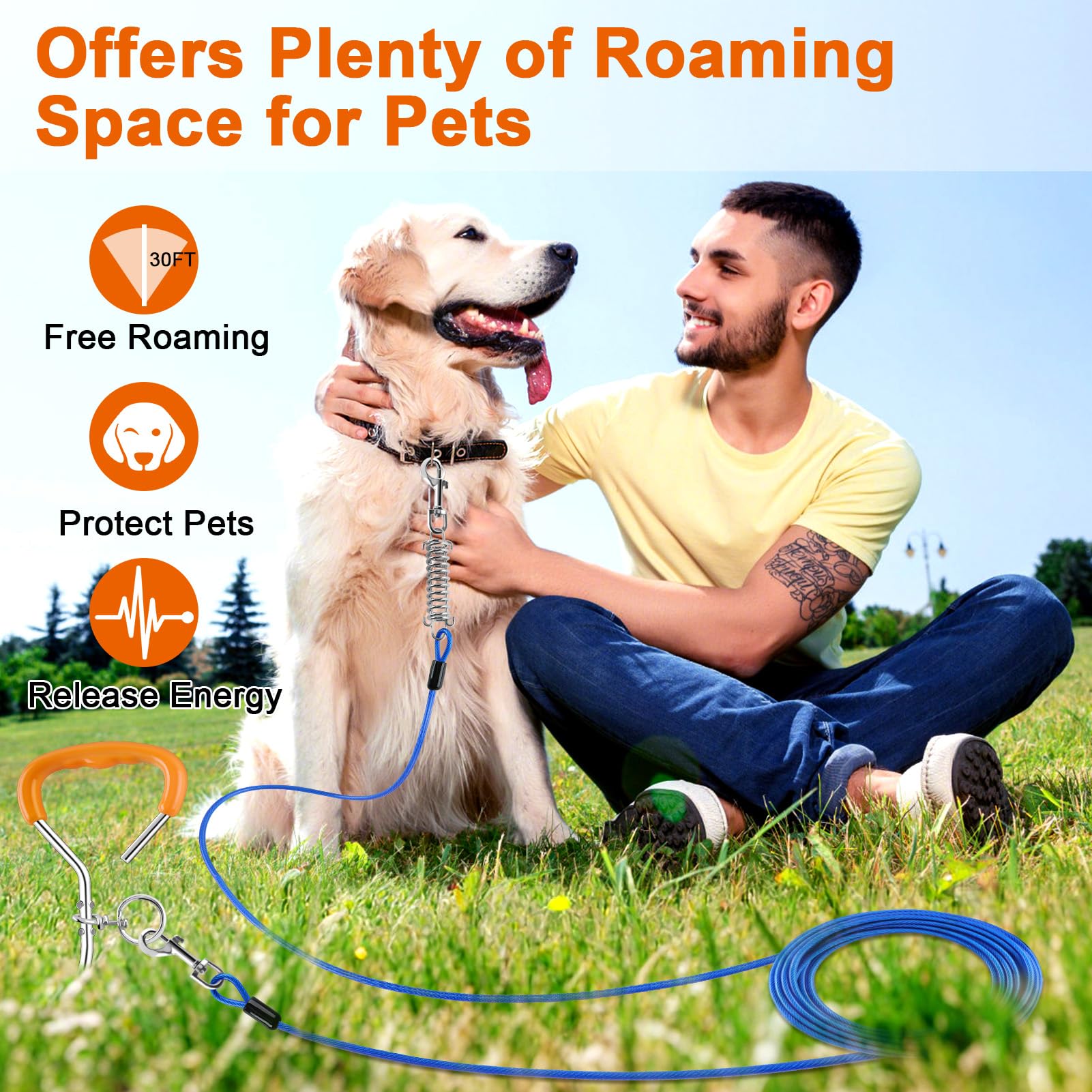 LANNEY Dog Tie Out Cable and Stake, 30ft Leash Chain Lead with Swivel Hook and Shock Spring for Yard Outside Camping, 16 inch He