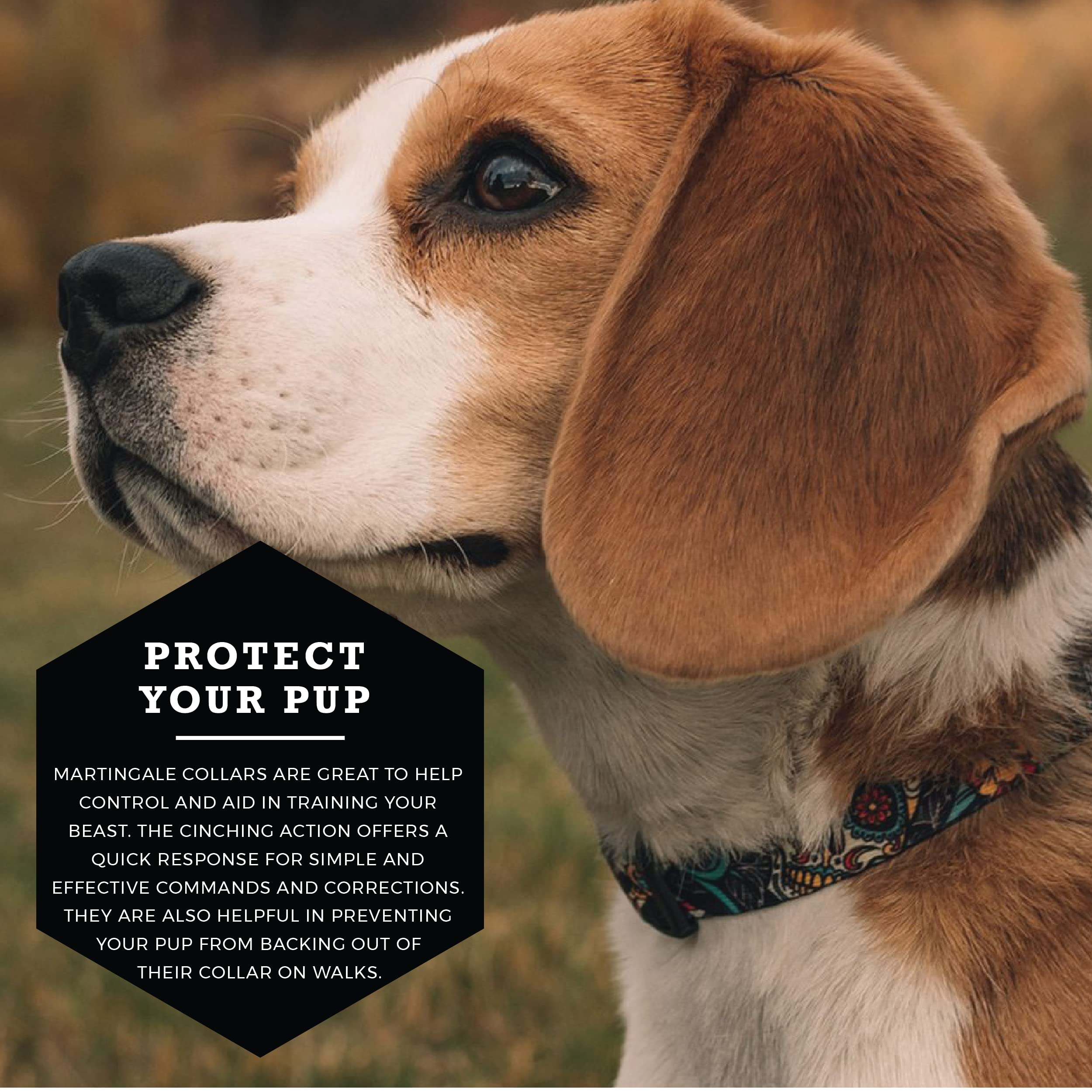 Wolfgang Heavy Duty Martingale Dog Collar With Quick Release Nylon Buckle For Walking & Training, Losmuertos Print, Extra Large