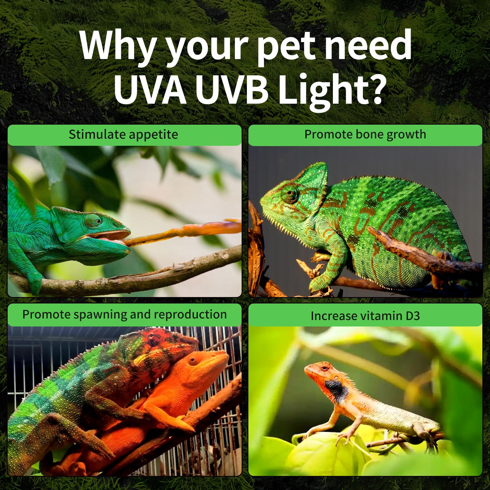 Mclanzoo Uvb Bulbs For Reptiles Led Light 8W 5.0 Full Spectrum Uv Light Heat Lamp For Bearded Dragon,Turtle,Tortoise,Lizard,Geck