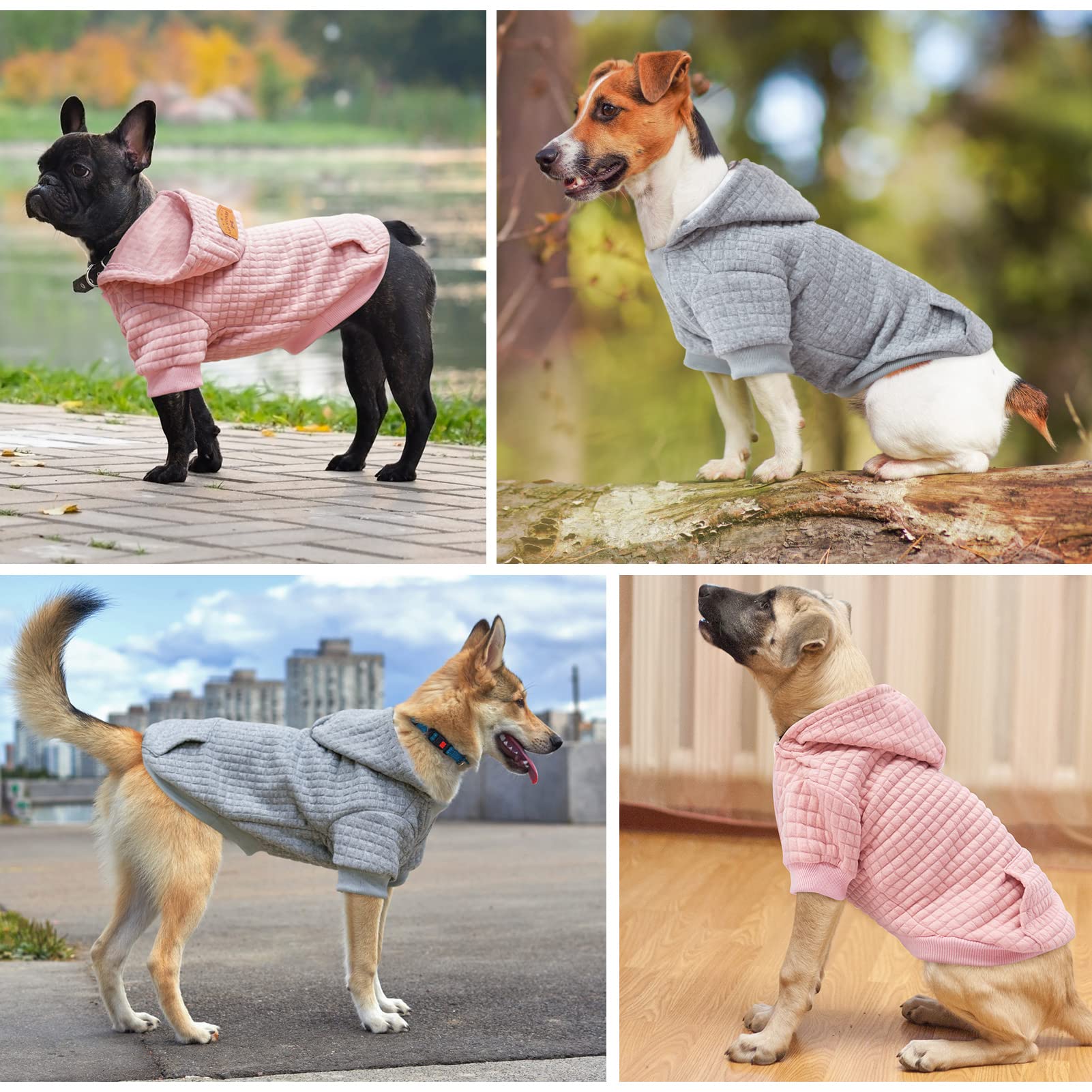 Beautyzoo Small Dog Hoodie Sweater With Pockets, Dog Clothes For Small Medium Dogs Boy Girl, Waffle-Like Laminated Cotton Pet Co
