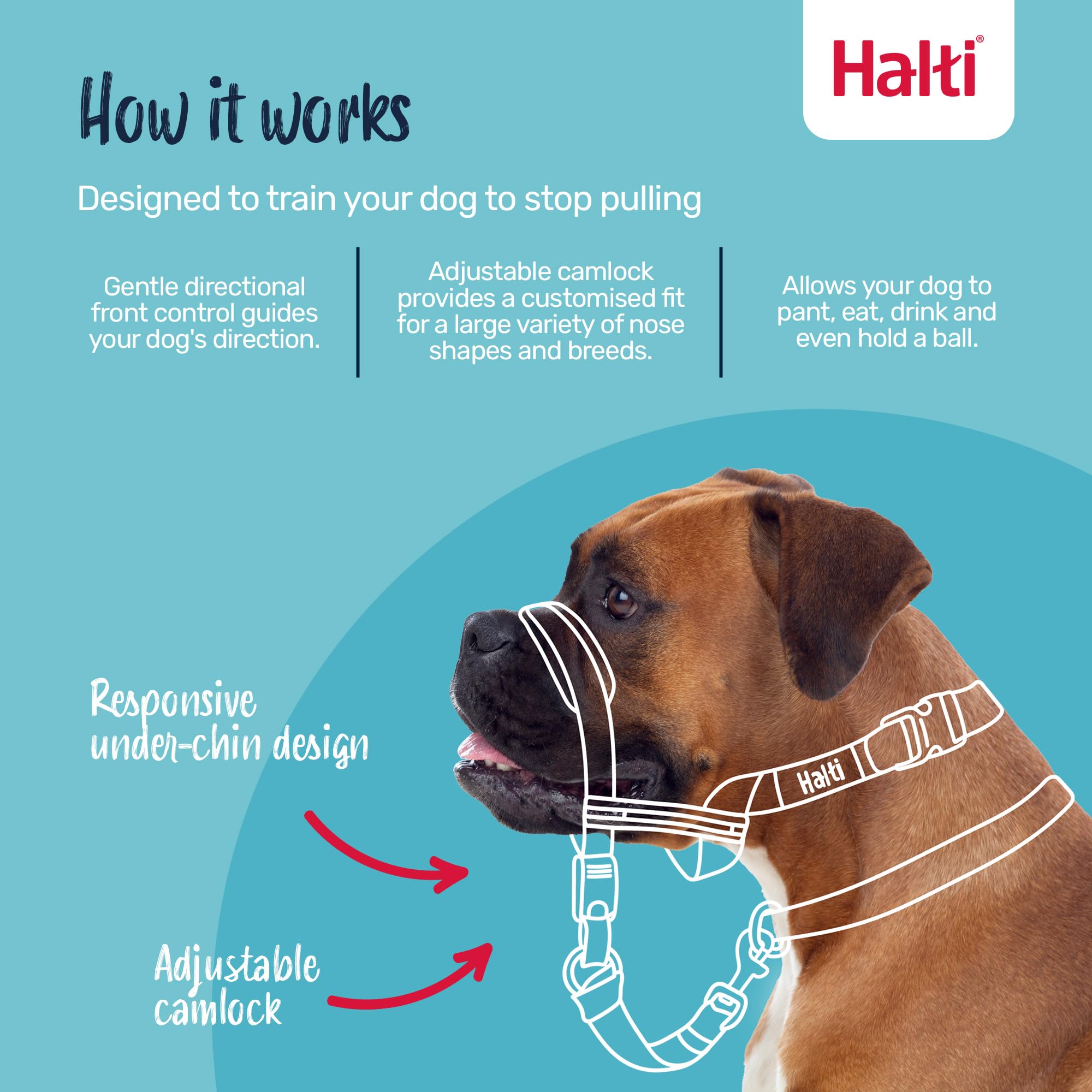 HALTI Optifit Headcollar Size Large & HALTI Training Leash Size Large, Black Combination Pack - Stop Your Dog Pulling on the Lea