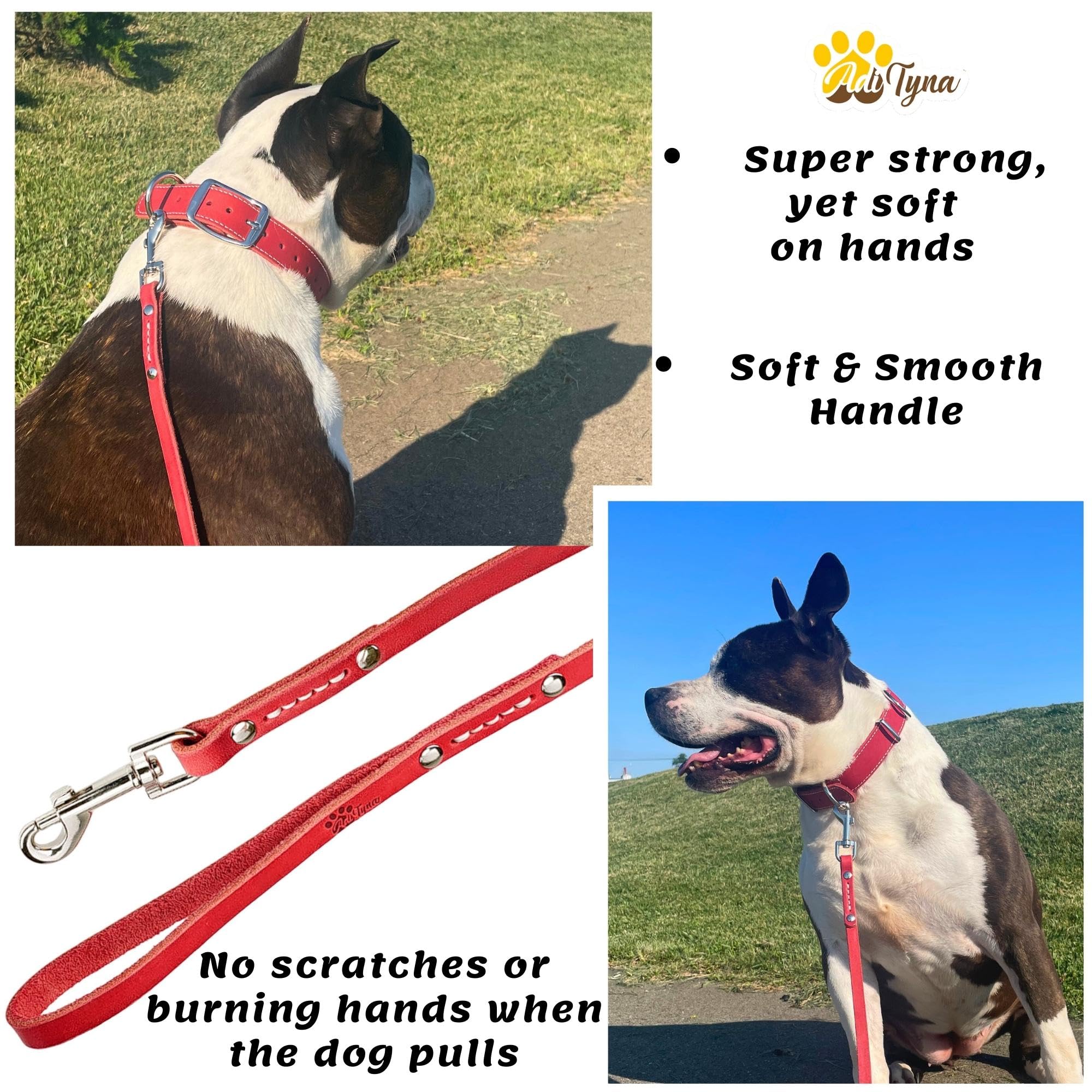 Adityna - Premium Leather Dog Leash - 6 Ft, Heavy-Duty, Soft & Strong For Small/Medium Dogs (Small: 6 Ft X 1/2, Red)