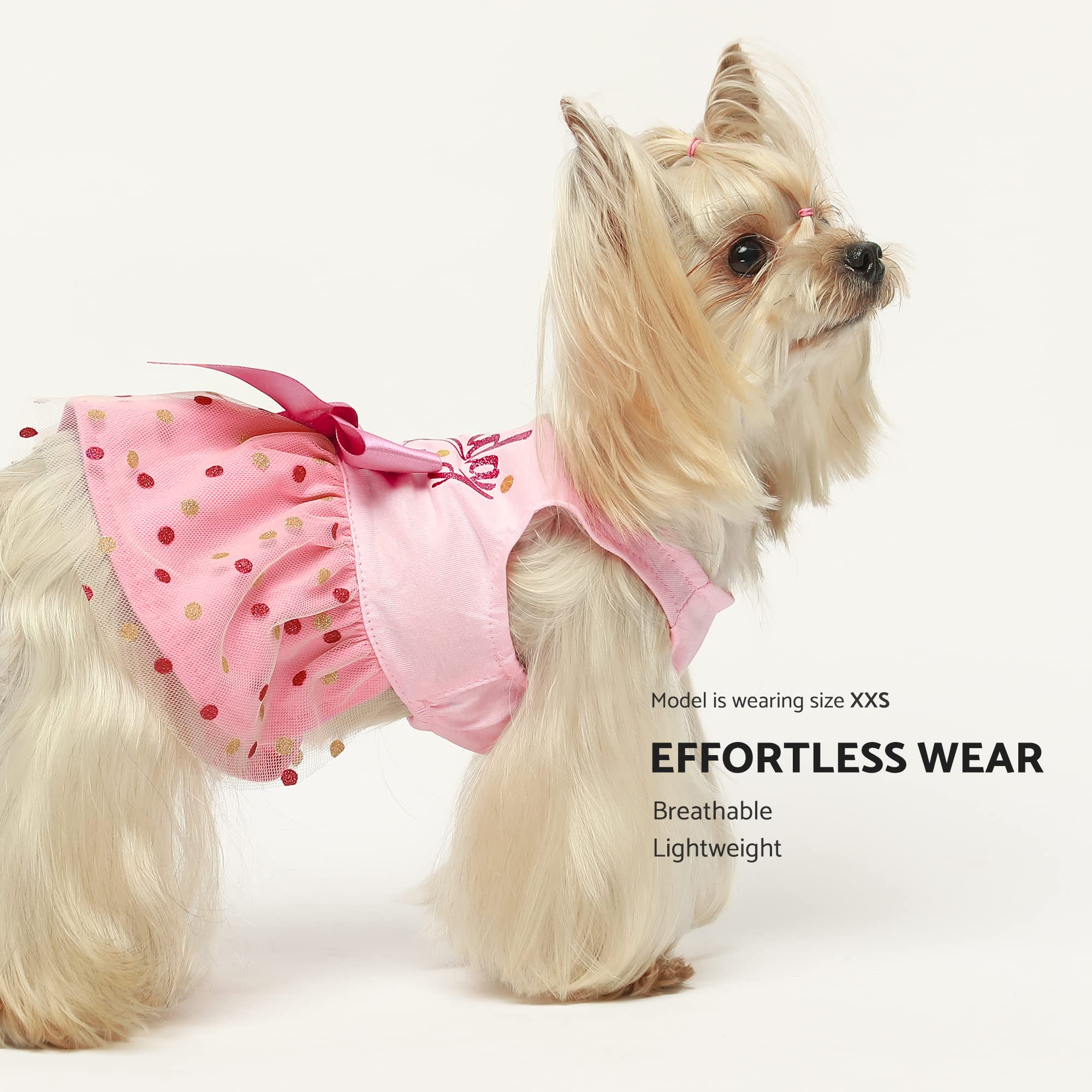 Fitwarm Birthday Girl Dog Tulle Dress, Dog Clothes For Small Dogs Girl, Cat Apparel, Pink, Xx-Small