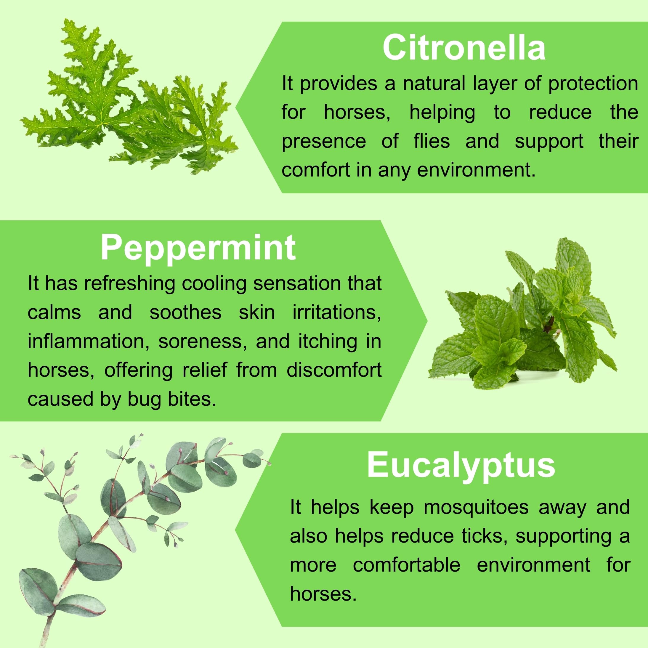 Pure Sole Bug Off Balm - All Natural Ointment for Horses, Ponies and Donkeys, Use for Cows, Goats and Other Farm Animals | Prote