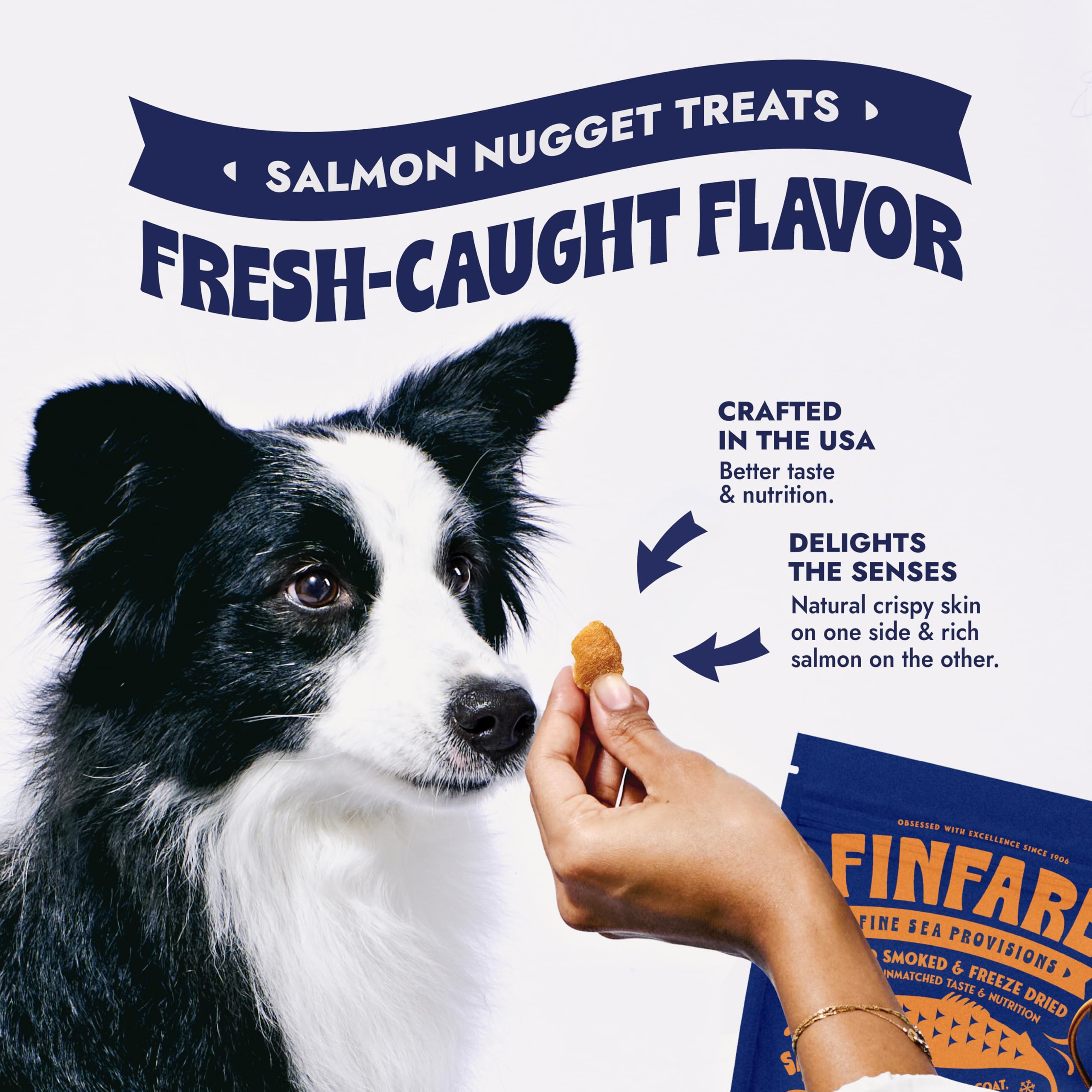 Finfare Freeze Dried Dog Treats, Salmon Nuggets, Protein & Omega-3s, Grain Free Salmon Dog Training Treats, Crafted in USA, 2oz