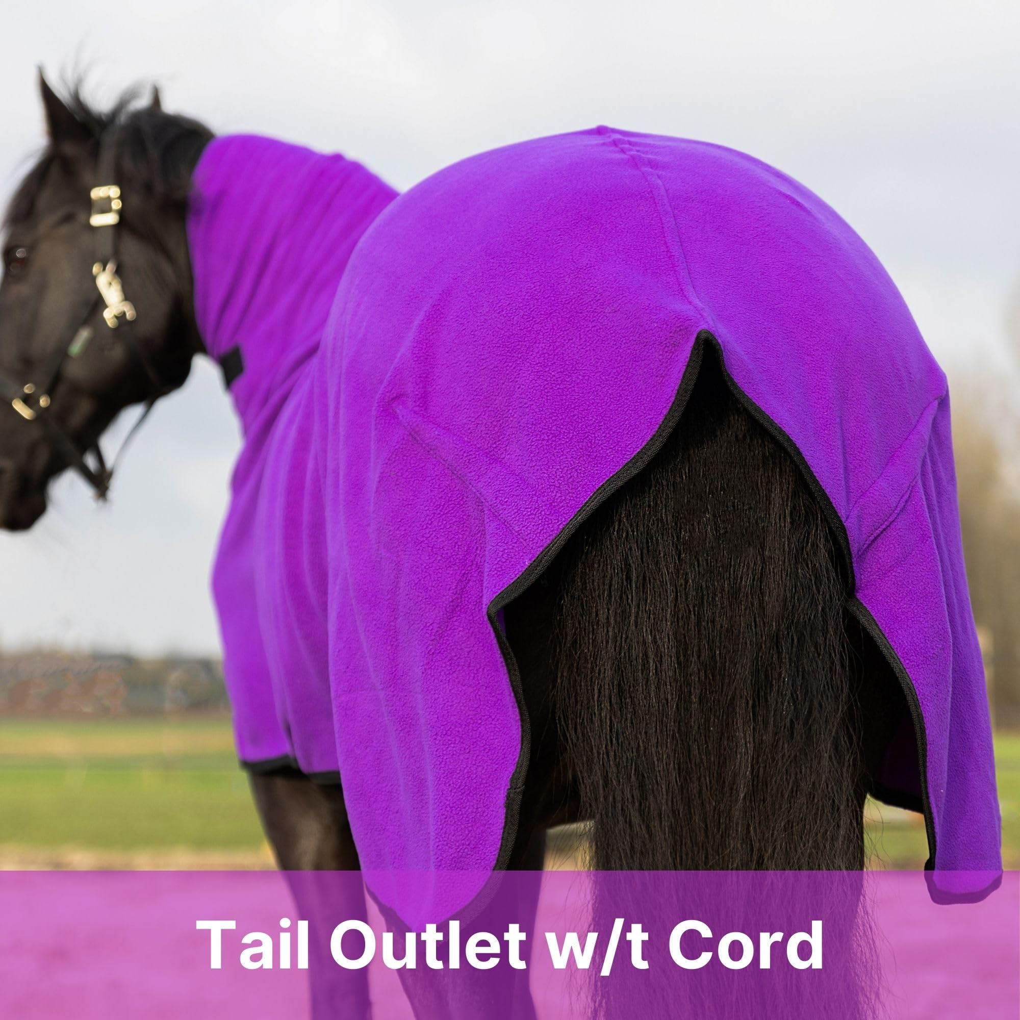 Resistance Long Lasting & Warm Soft Fleece Contour Cooler For Horse (X-Large (80''-82''), Purple)