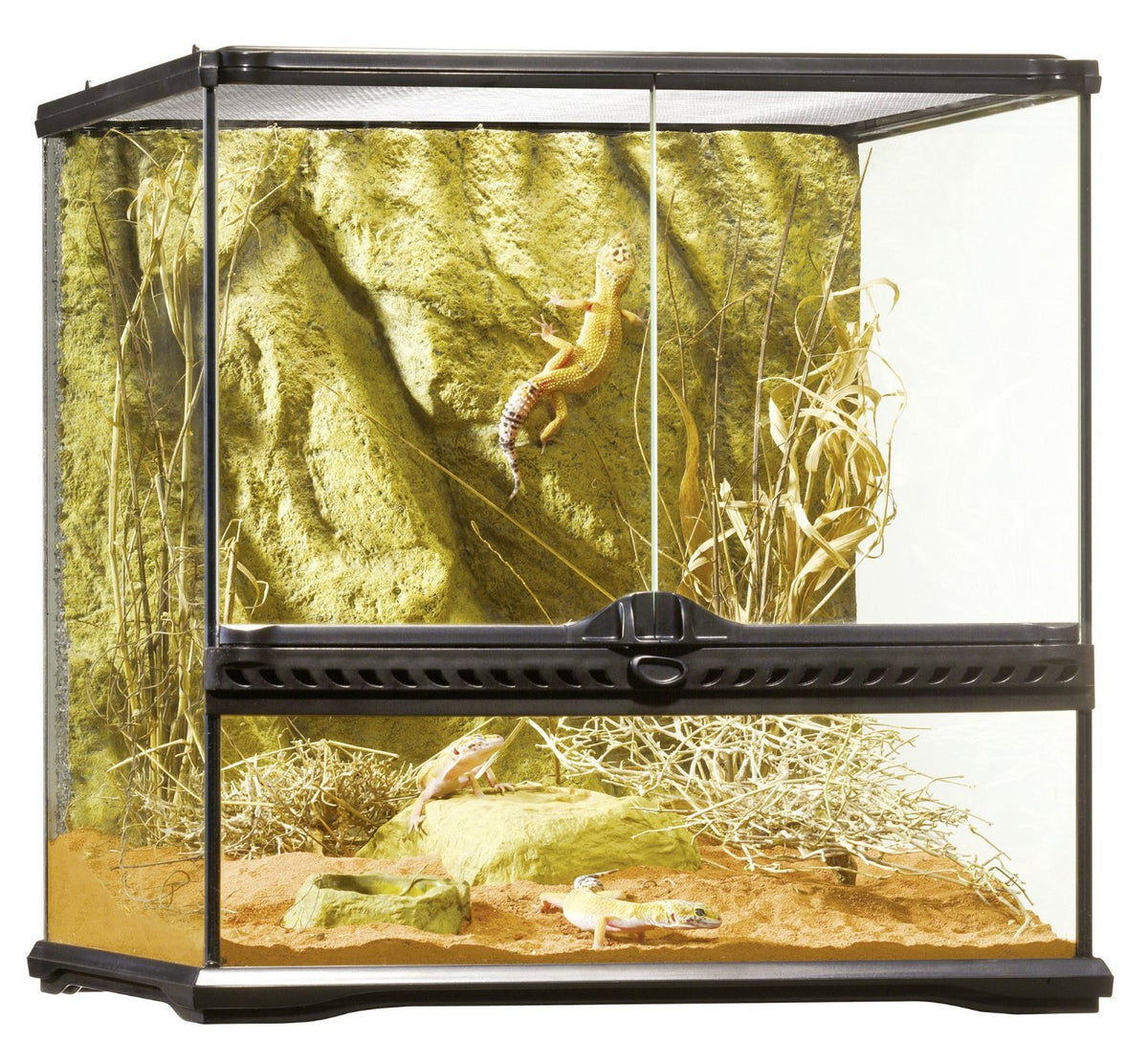 Exo Terra Glass Natural Terrarium Kit, For Reptiles And Amphibians, Small Wide, 18 X 18 X 18 Inches, Pt2605A1