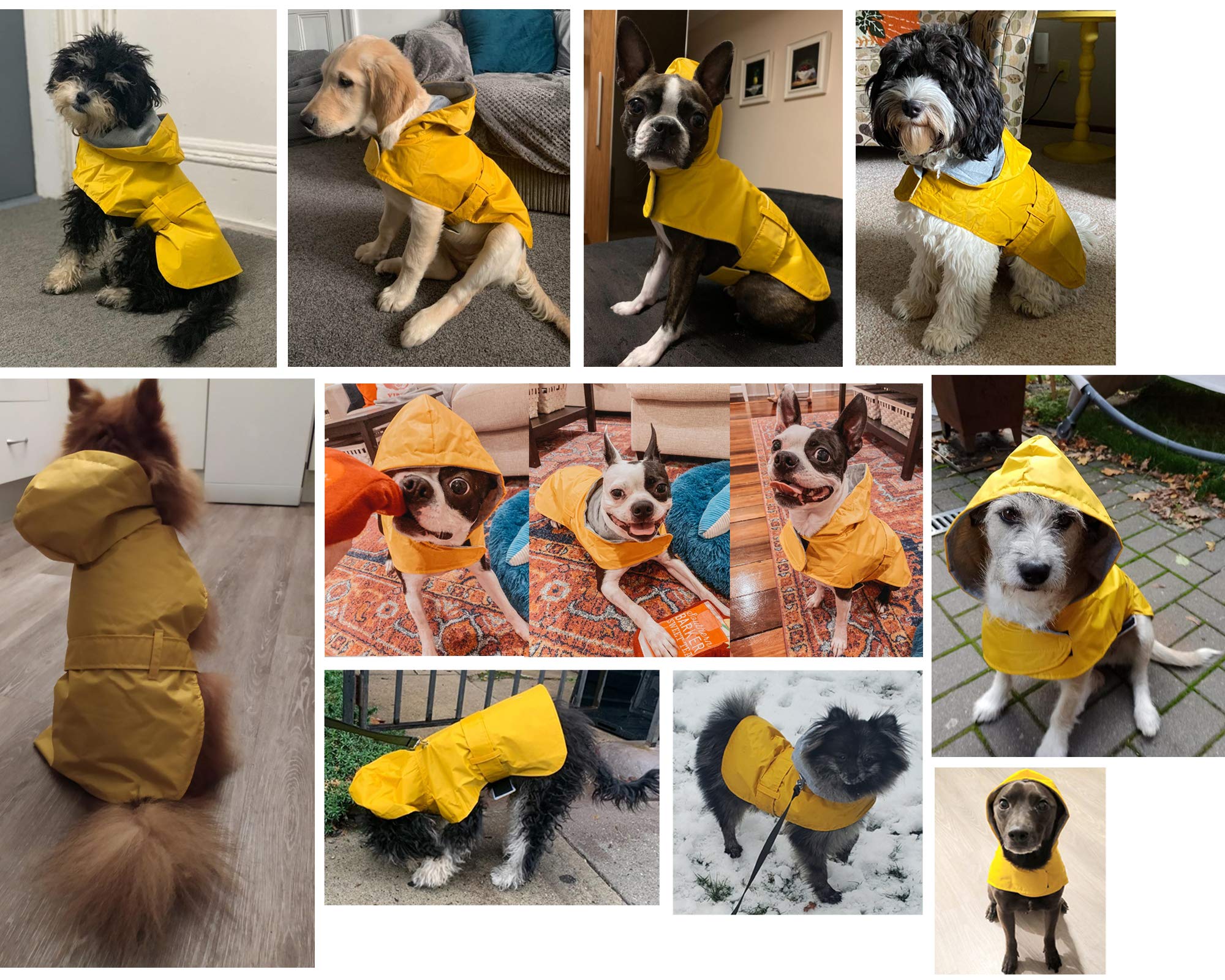 LeerKing Raincoat for Dogs - Hooded with Leash Hole, Waterproof Double Layer Coat Jacket with Lining, 10 Sizes for Small Medium and Large Dogs,Yellow,XL -Like New