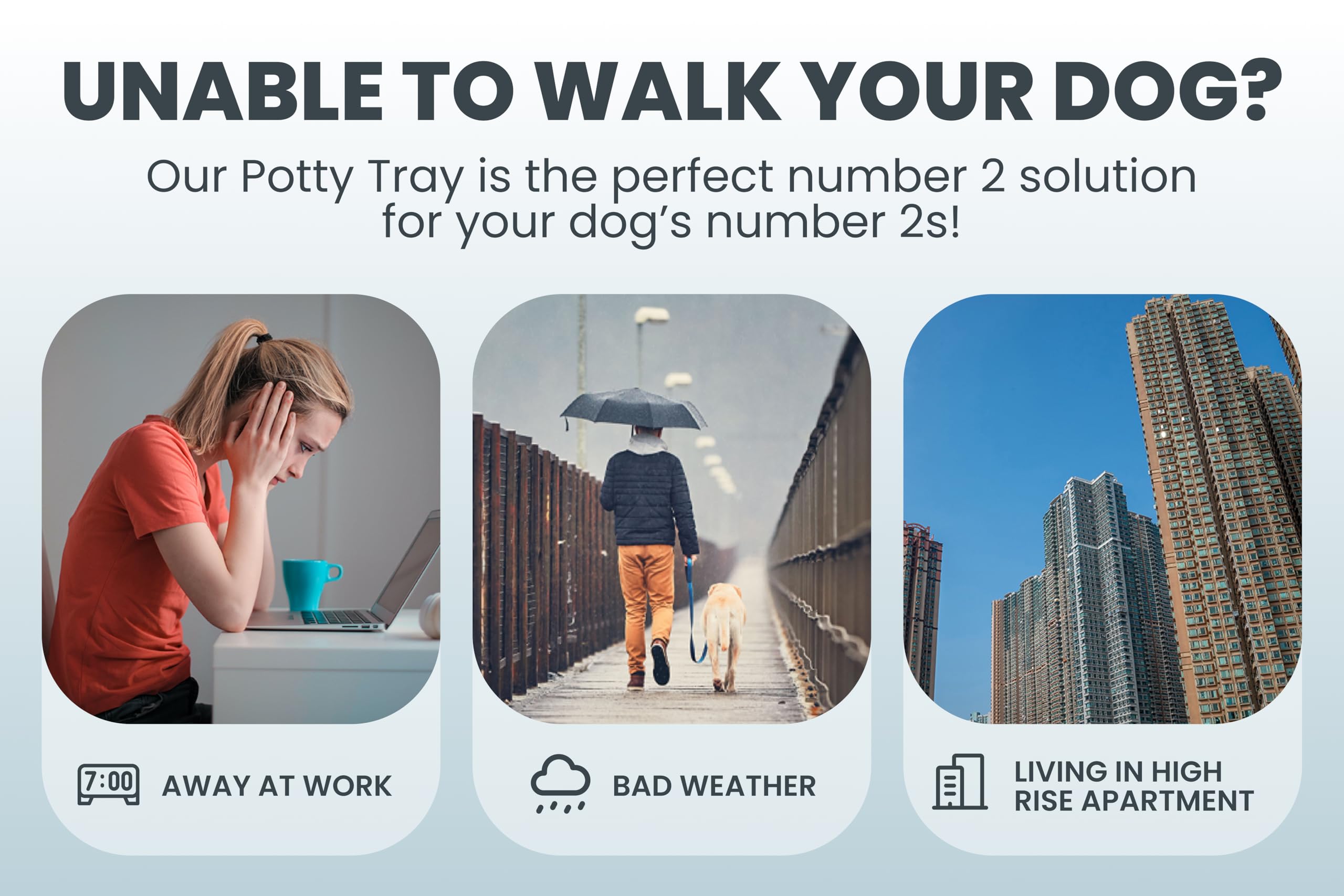 Pet Awesome Dog Potty Tray/Puppy Pee Pad Holder 25   X20    Indoor Wee Training For Small And Medium Dogs