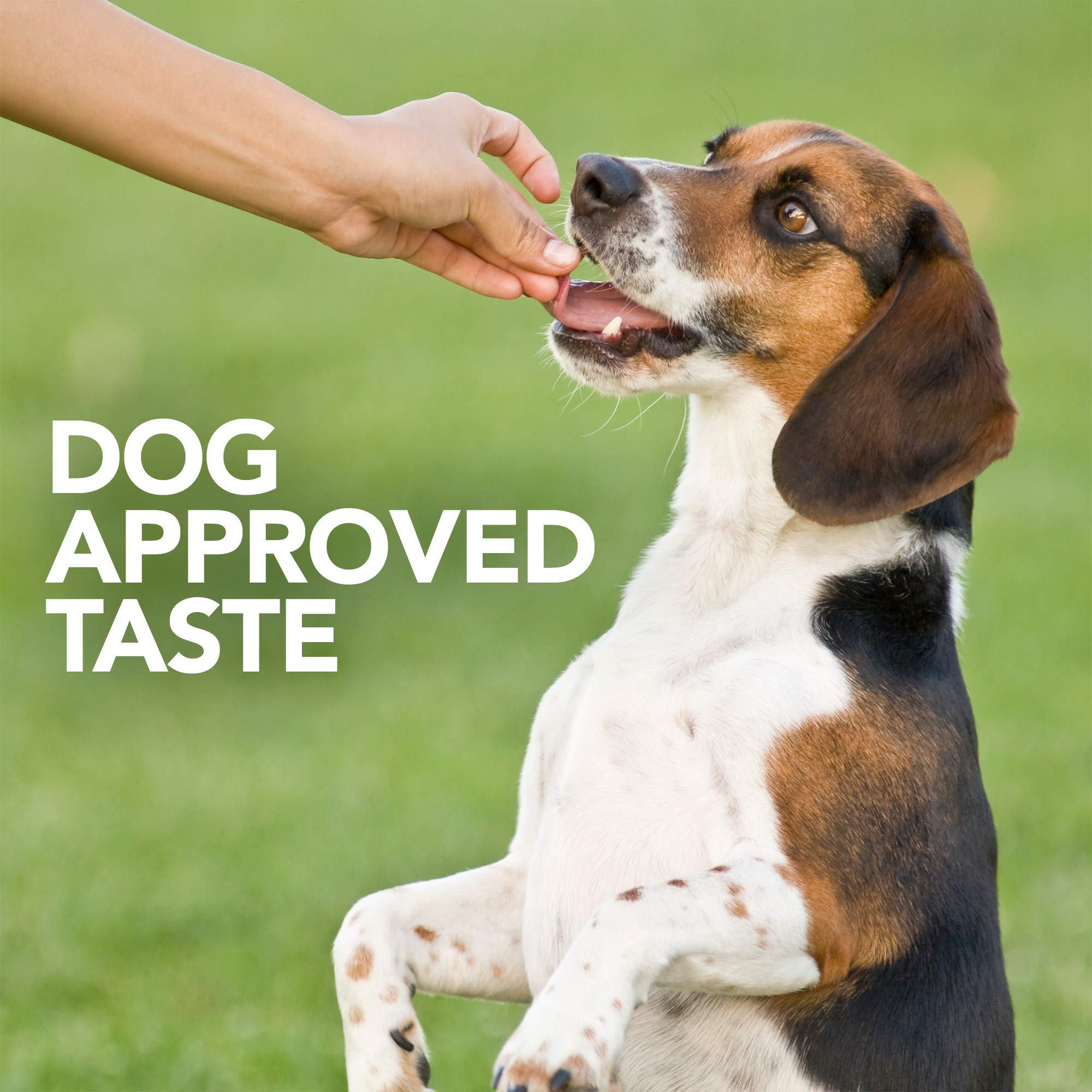 Vets Best Probiotic Soft Chews Dog Supplements | Supports Dog Digestive Health | Promotes A Healthy Gut | 30 Day Supply