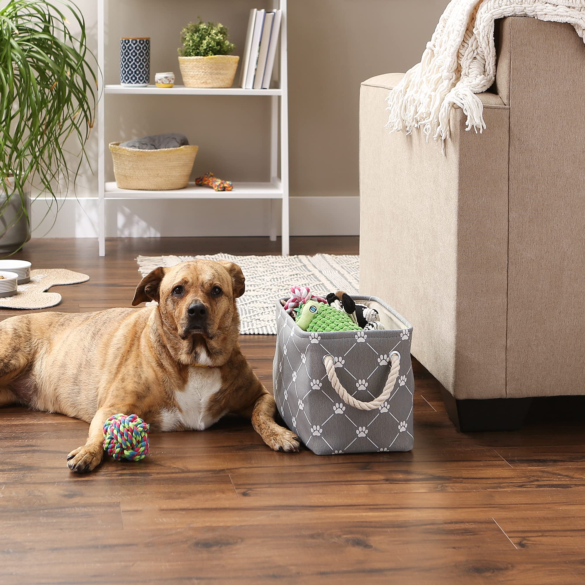 Bone Dry Pet Storage Collection Paw and Bone Print, Small Rectangle, 14x8x9, Gray