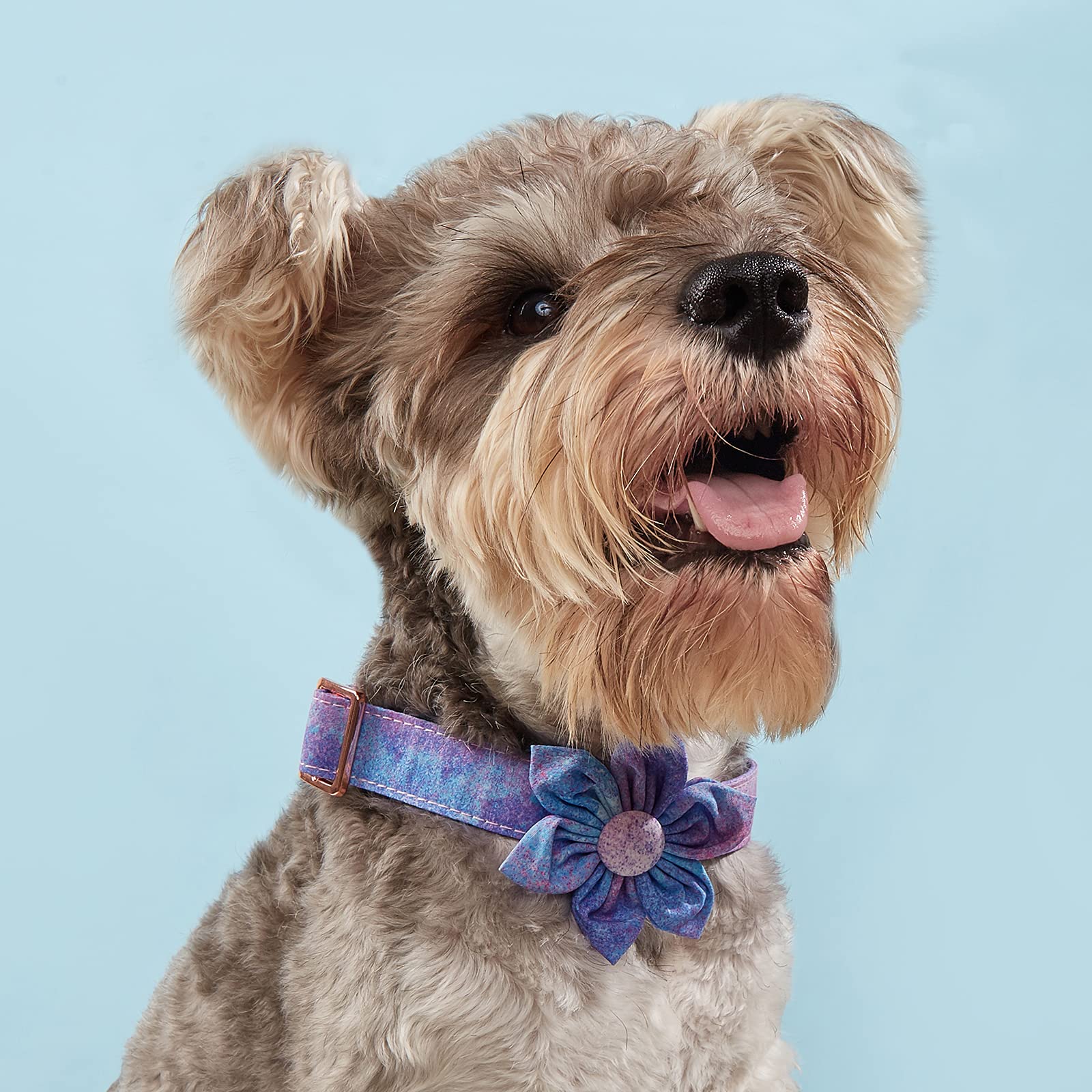 Collar With Bowtie Floral Detachable For Girl Dogs - Soft Comfy Pet Collar With Safety Buckle, Flower And Knotbow - Adjustable F