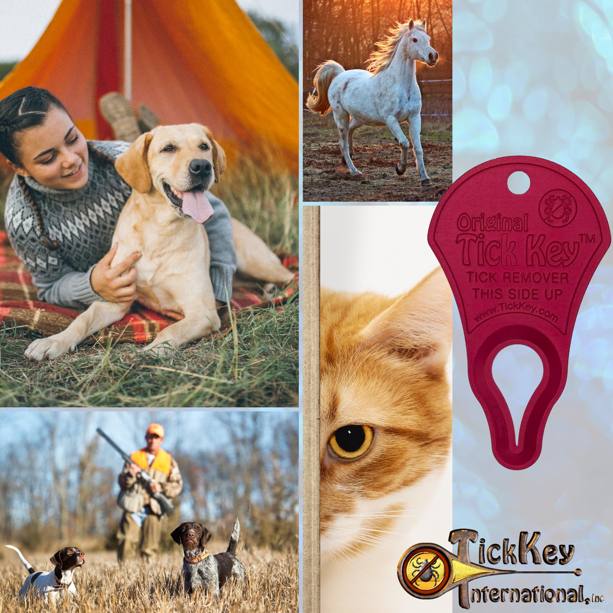 The Original Tick Key - Tick Detaching Device - Portable, Safe And Highly Effective Tick Detaching Tool (Raspberry)