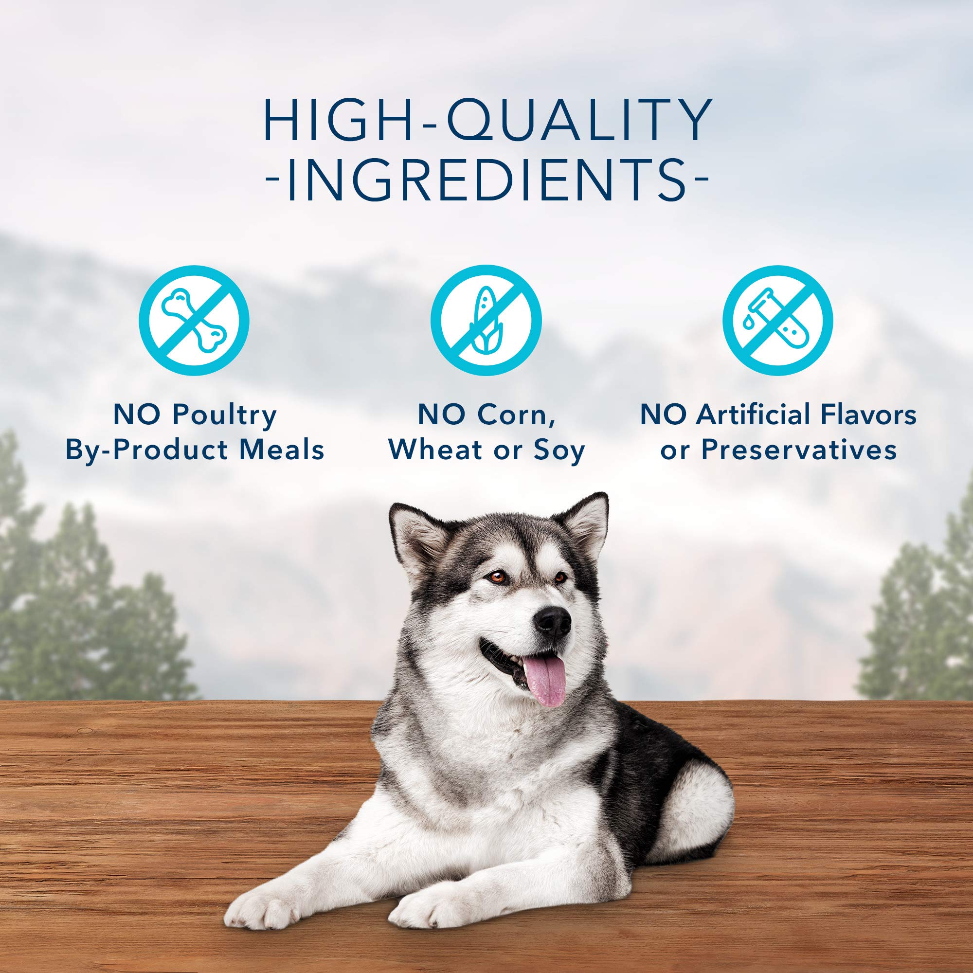 Blue Buffalo Wilderness Trail Treats High Protein Grain Free Dog Biscuits Crunchy Dog Treats, Turkey Recipe, 10-oz Bag