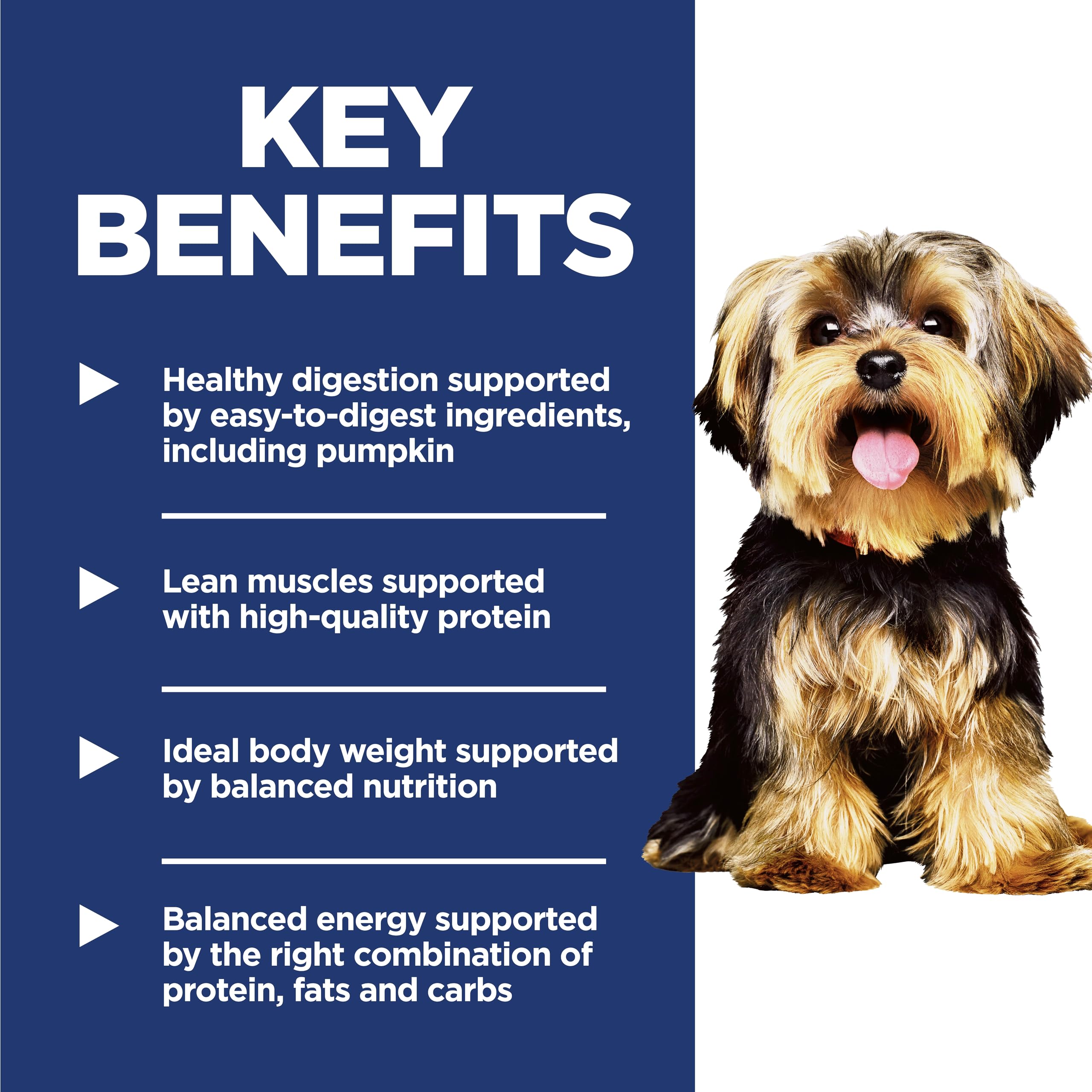 Hills Science Diet Small & Mini, Adult 1-6, Small & Mini Breeds Premium Nutrition, Dry Dog Food, Chicken & Brown Rice, 4.5 lb B