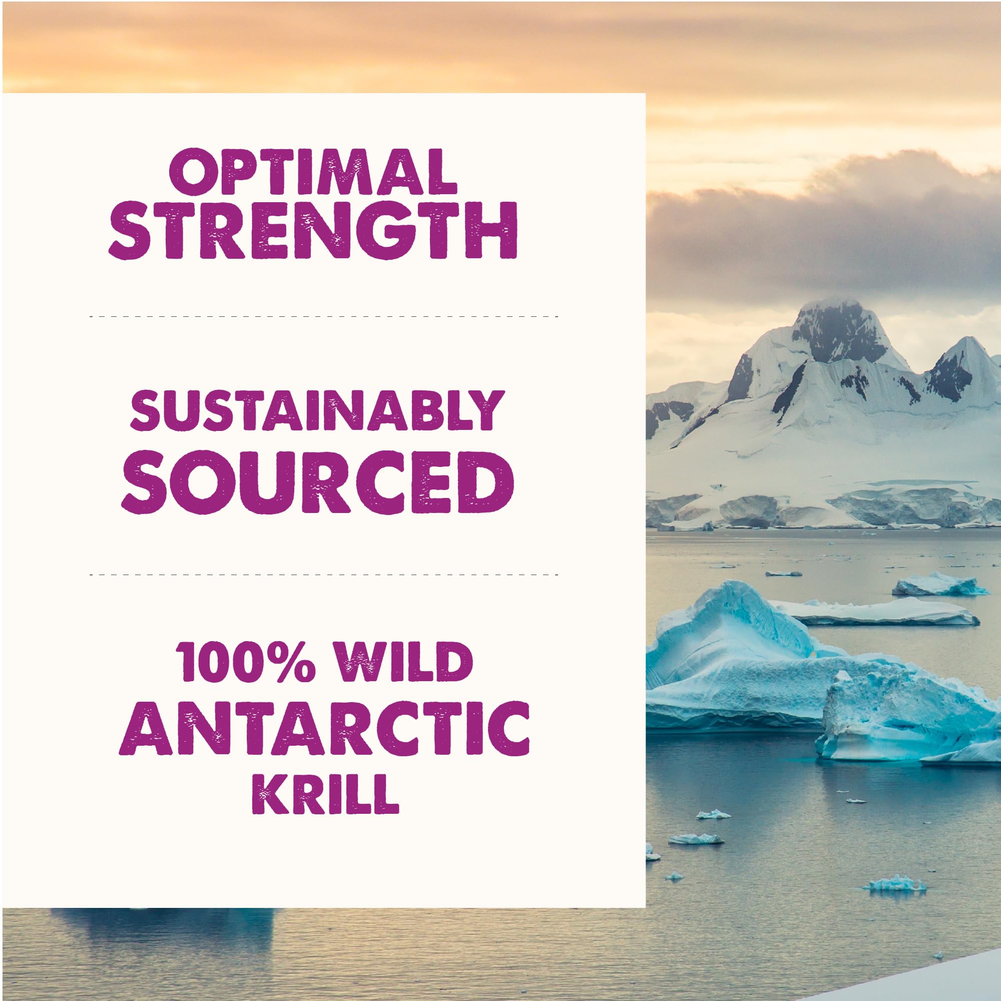 Grizzly Pet Products Krill Oil Liquid Antioxidant Product for Dogs and Cats, 8 Ounce