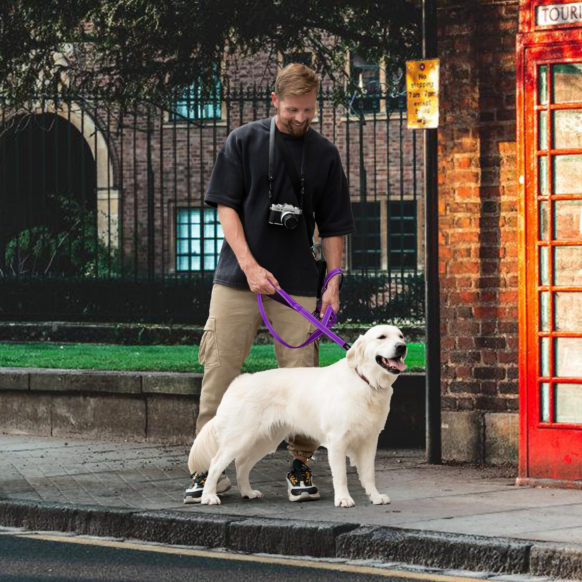 6 Foot Purple Dog Leashes For Large Medium And Small Breed Dogs That Pull,Reflective Nylon Heavy Duty Dog Leash With 2 Comfortab