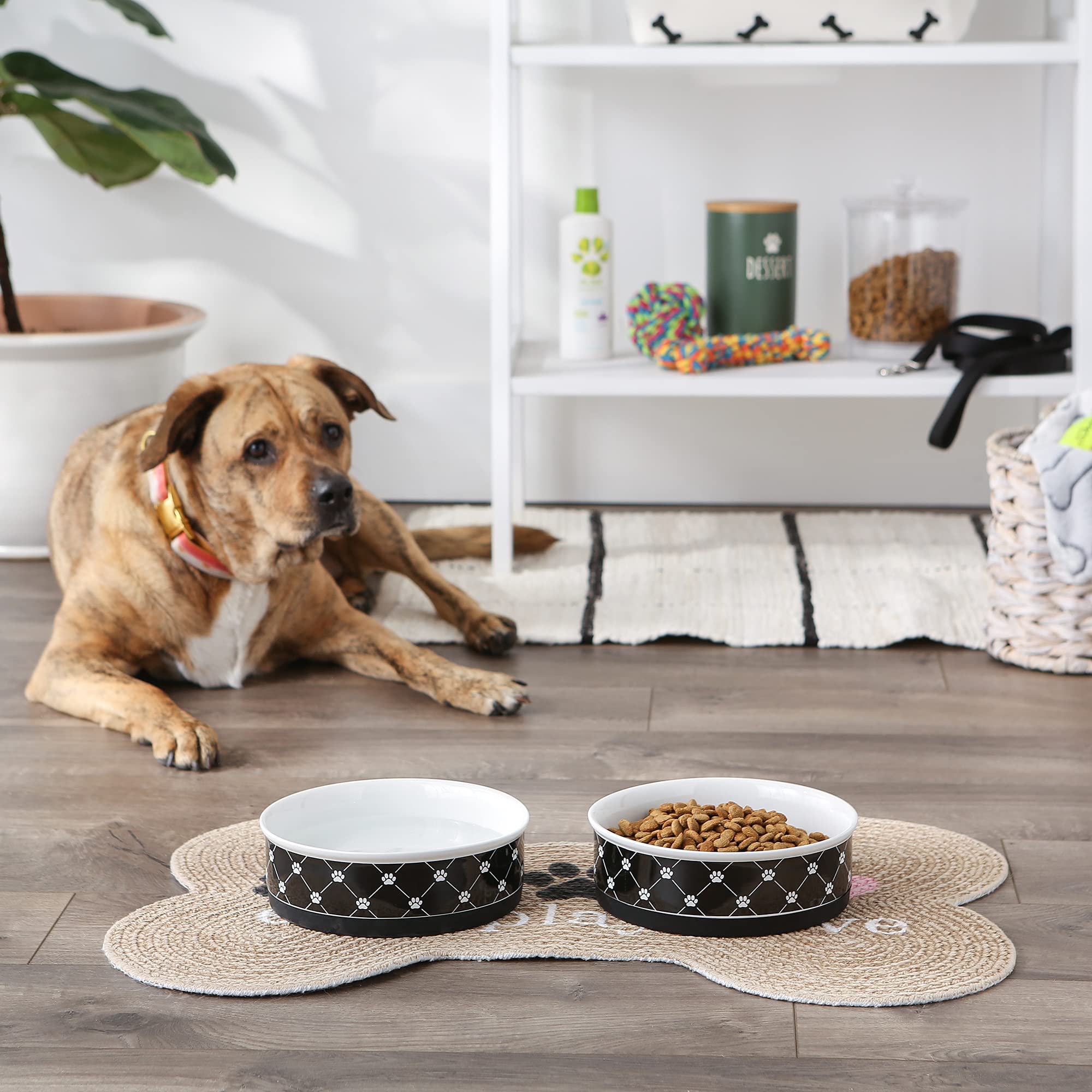 Bone Dry Trellis Paw Print Pet Bowl Set Microwave & Dishwasher Safe, Non-Slip Silicone Bottom for Less Mess, Large 7.5x2.4, Blac