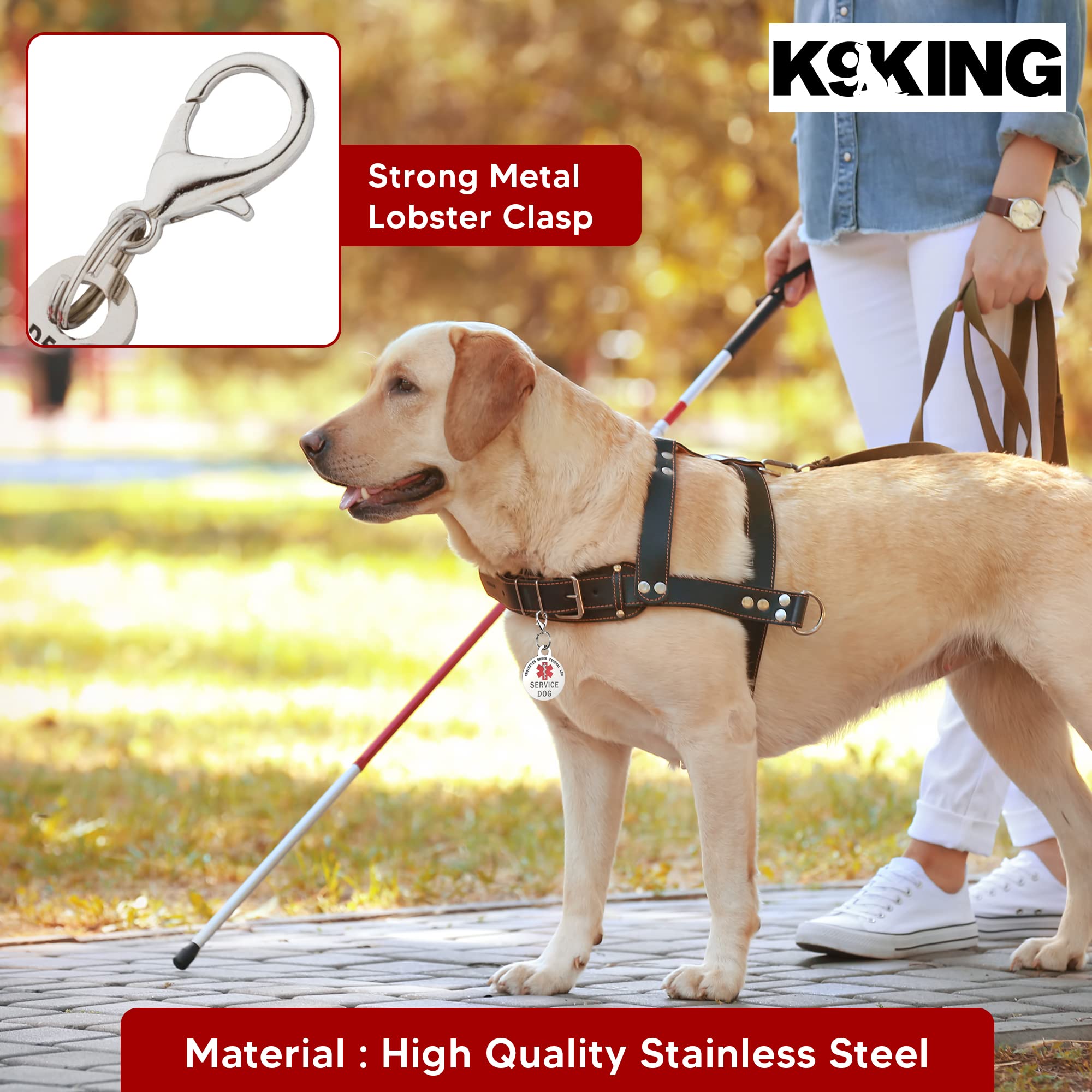 Service Dog Tag Small Breed Premium Double Sided Dog Identification .999 Inch Engraved -Bold Protected Under Federal Law With Medical Alert Symbol Easily Attach To Collar Harness And Service Dog Vest