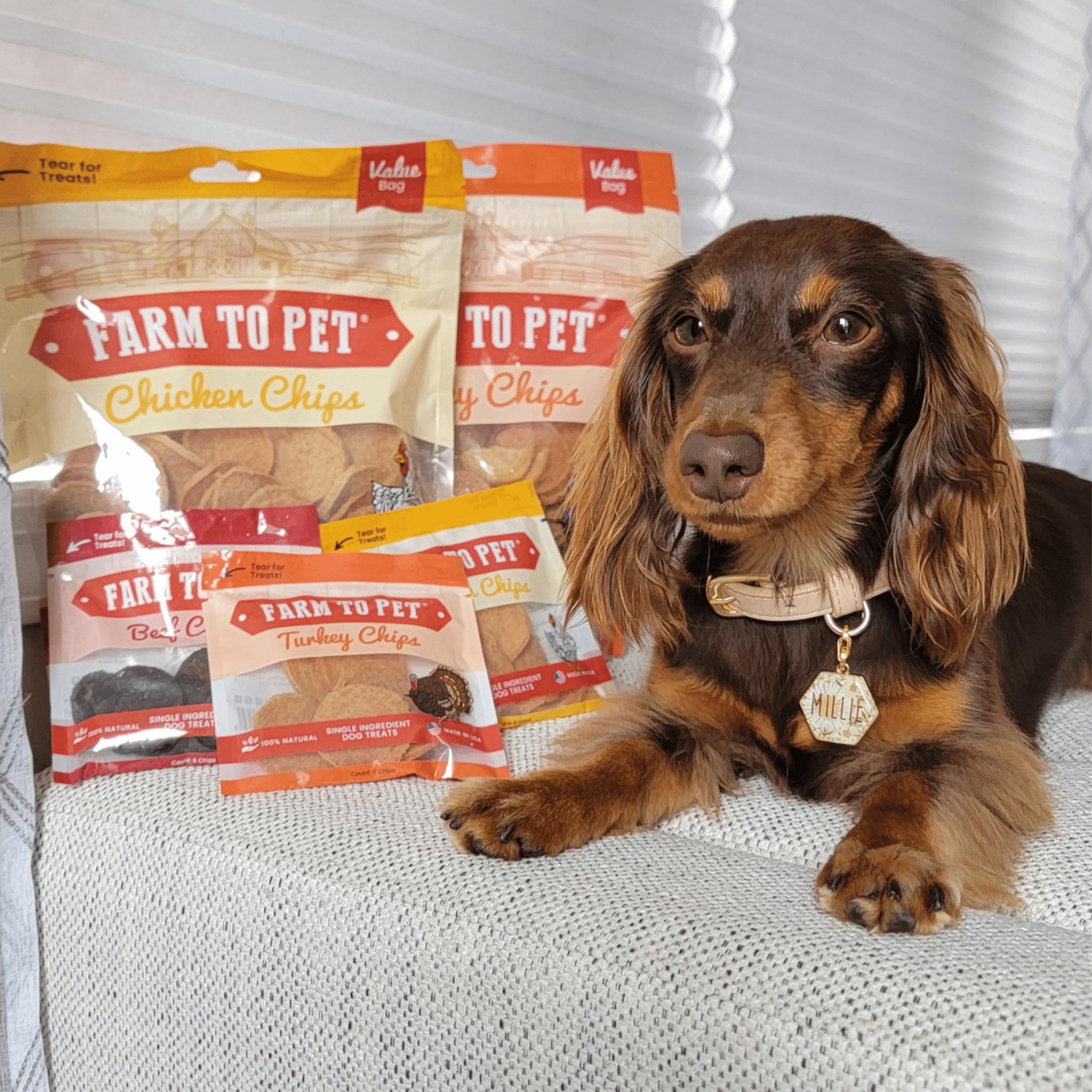 Farm To Pet - Dog Treats Chicken & Turkey Chip Protein Value Pack, 100% All Natural, Single Ingredient Training Treats, Made in