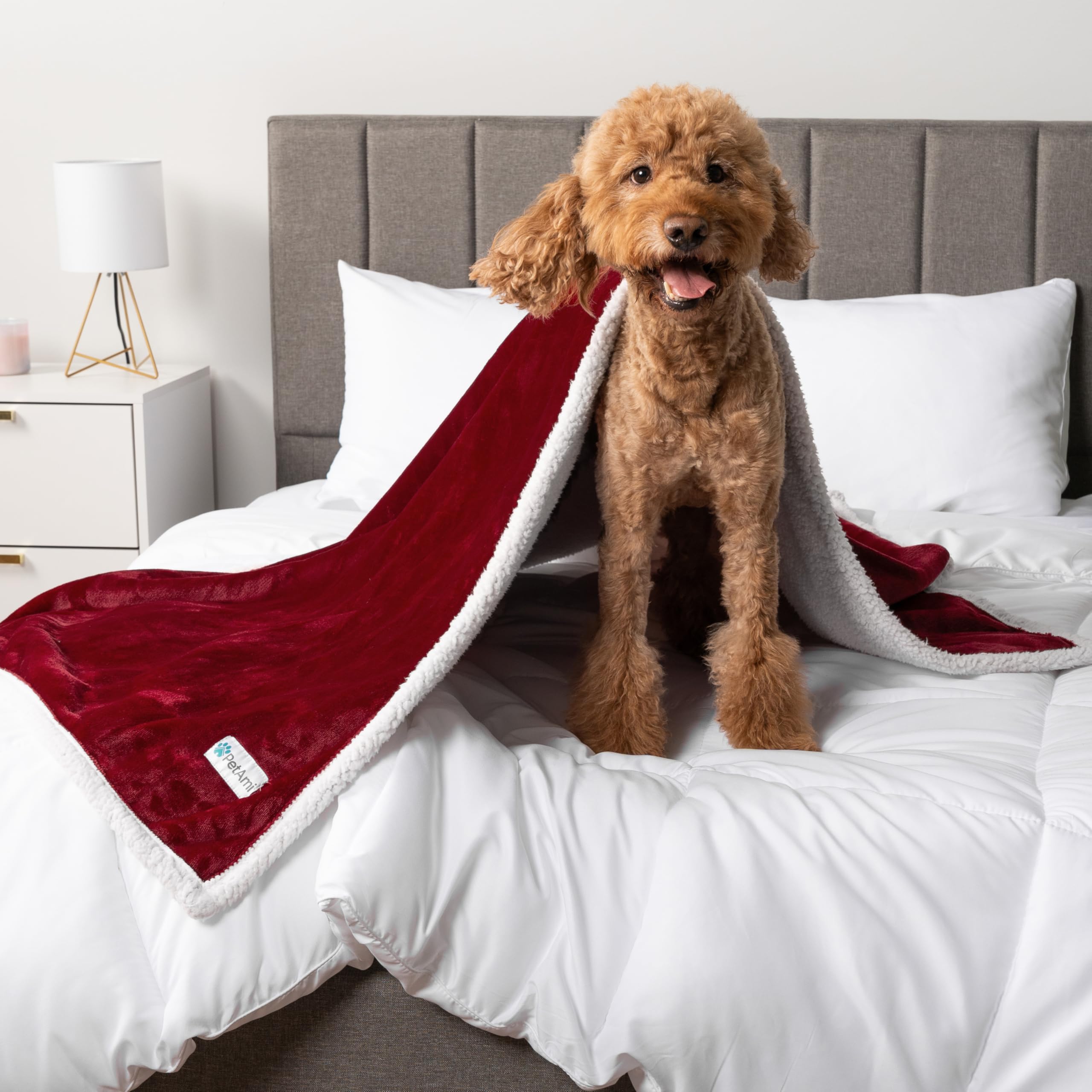 Petami Waterproof Dog Blanket For Medium Large Dog, Pet Puppy Blanket Couch Cover Protection, Sherpa Fleece Cat Blanket, Sofa Bed Furniture Protector Reversible Soft Plush Washable, 60X40 Wine Red