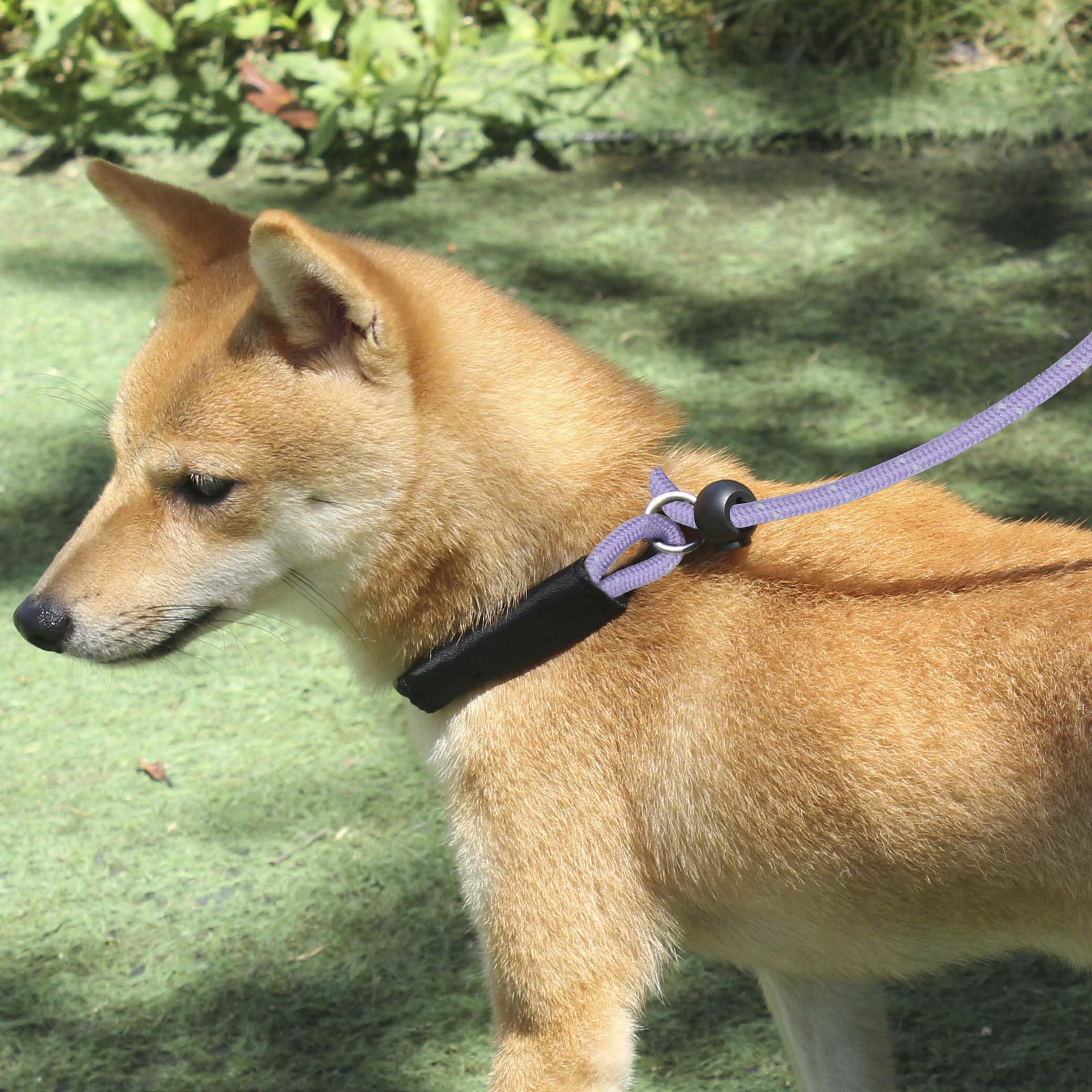 Hiado Slip Lead Dog Leash Reflective Soft With Stopper Loop Rope Training No Pull For Small Medium Dogs 5Ft Lavender