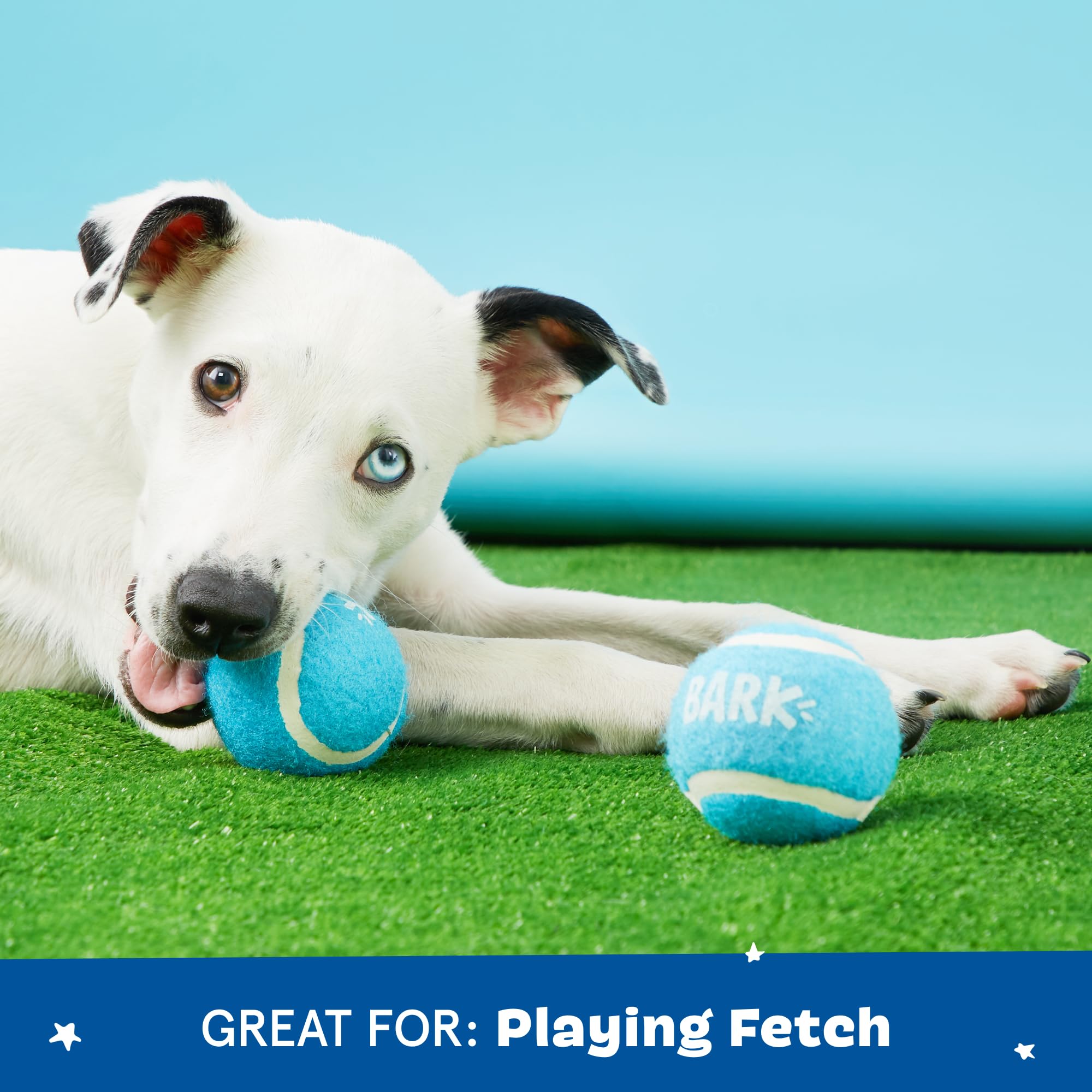Barkbox Squeaker Ball Toys - Interactive Tennis Balls for Fetch & Training - Medium/Large Dog Plush Toys (2-in-1 Janspup Backpack)