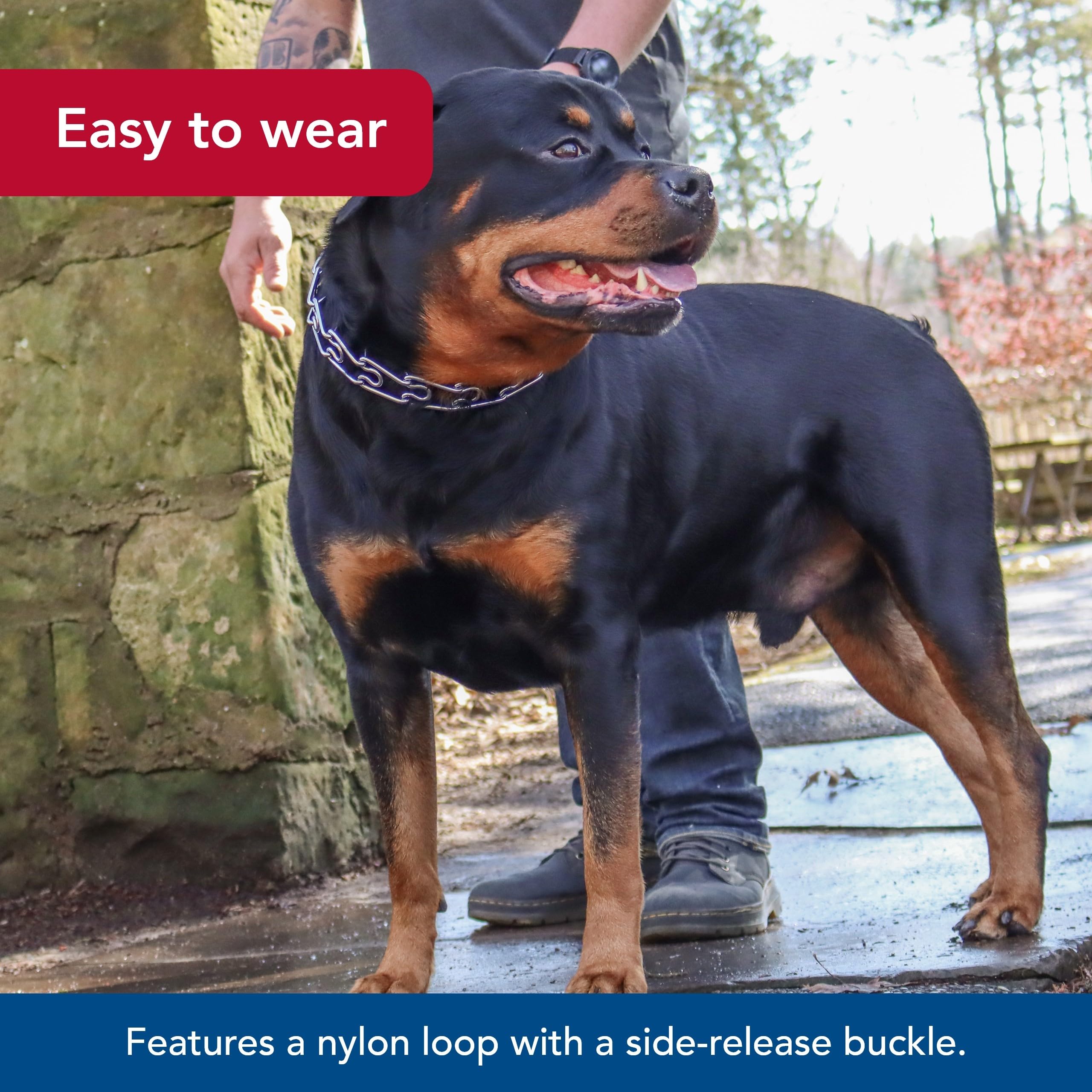 Coastal Pet Titan Easy-On Dog Prong Training Collar With Buckle - Durable Metal Training Collar For Dogs With Side Release Buckle - Black, 2 Mm X 14'