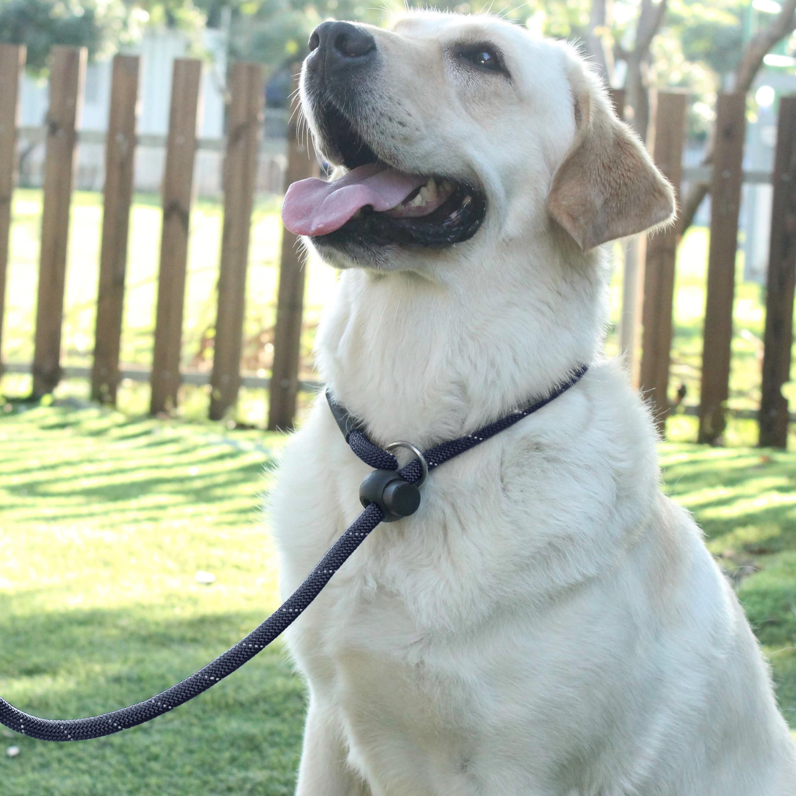 Hiado Slip Lead Dog Leash Reflective With Stopper Loop Rope Training No Pull For Small Medium Large Dogs 7Ft Black