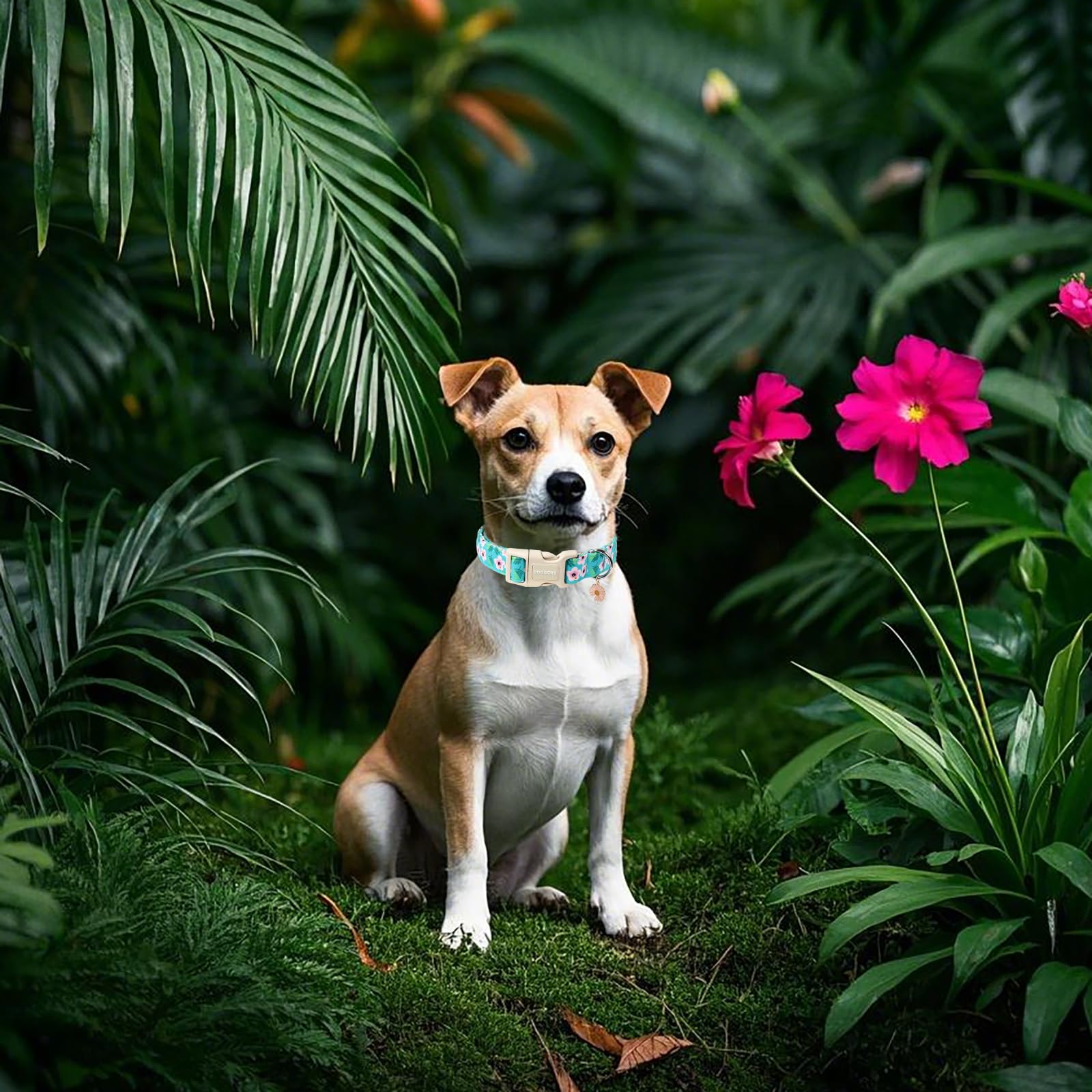 Dogwong Spring Floral Cotton Dog Collar, Pink Flower Dog Collar Durable Soft Fabric Pet Dog Collars Cute Beachy Girl Female Pupp