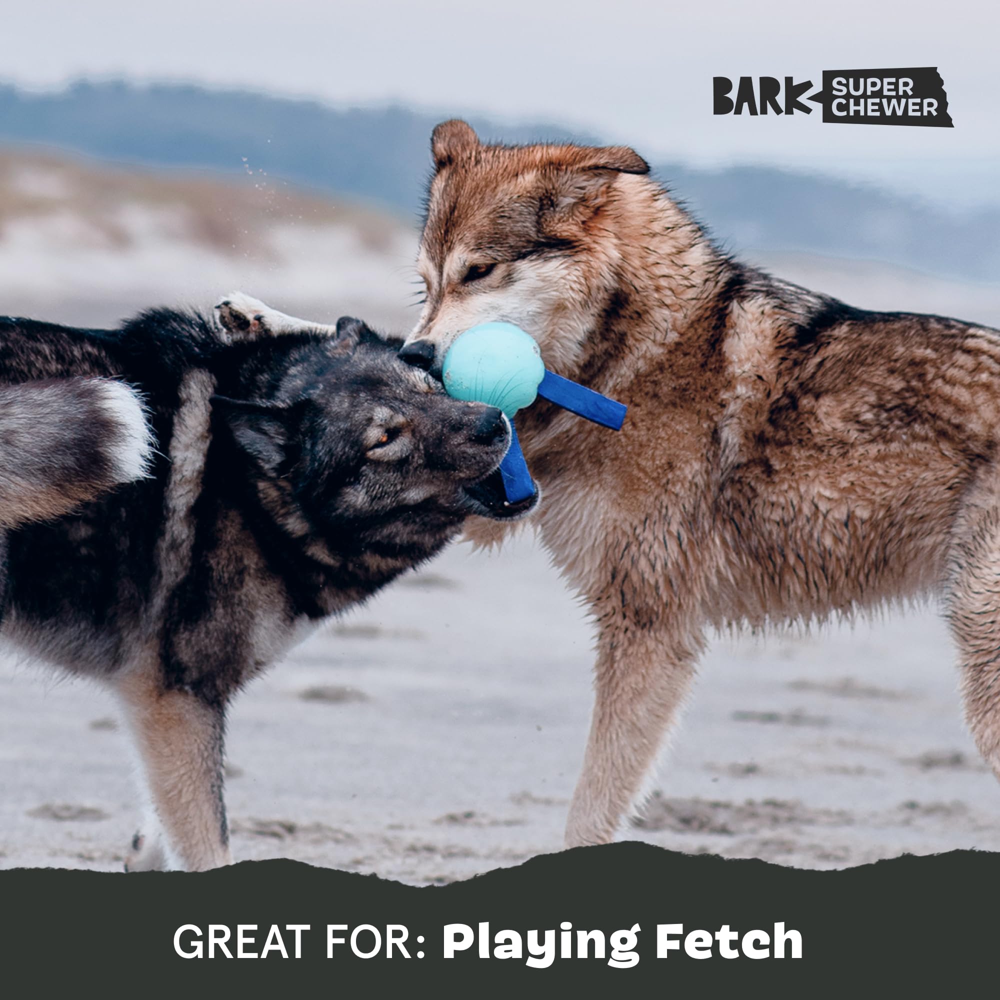 Barkbox Jelly Fetch Dog Toy For Medium Dogs - Perfect For Tug And Fetch Play, Durable Design With Strong Nylon Straps For Long-L
