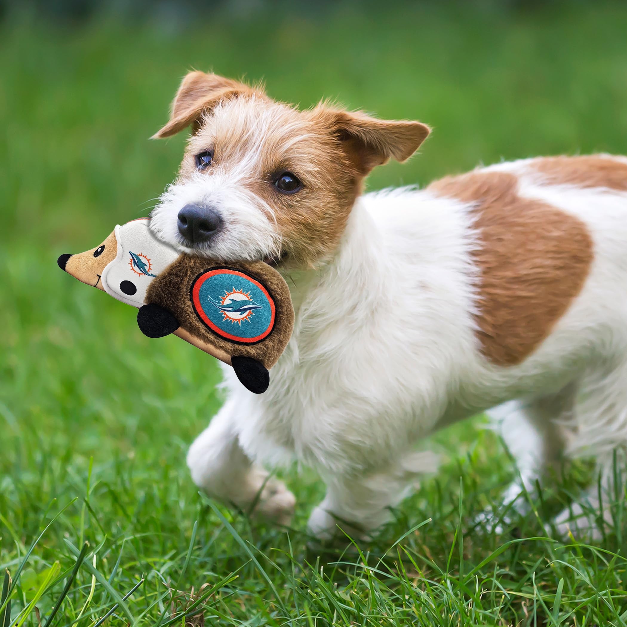 Nfl Miami Dolphins Plush Hedgehog Toy For Dogs & Cats, Cool Soft Pet Toy For Fun And Interactive Play, Dog Chew Toy With Squeake