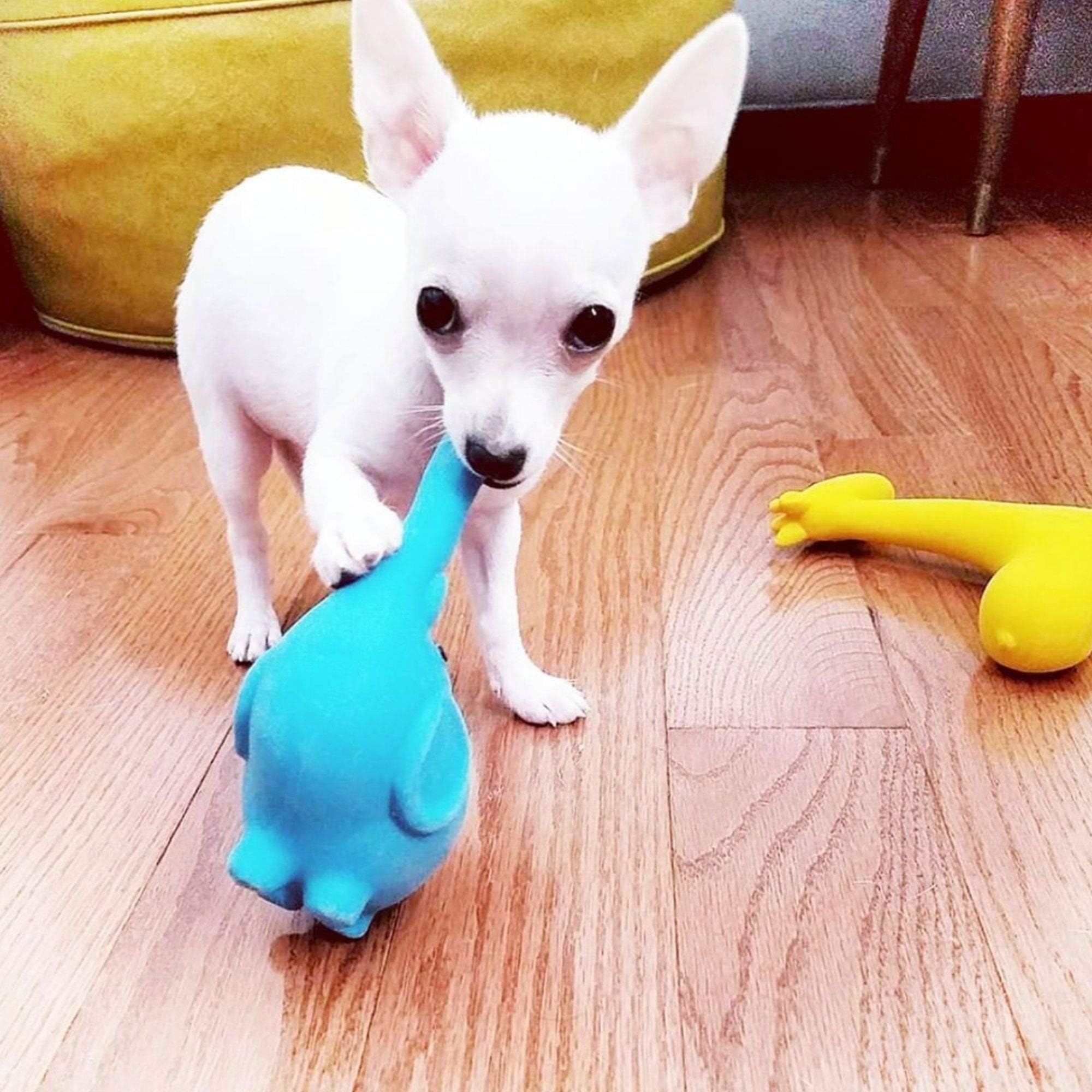 FOUFIT 85648 Zoo Chew Latex Toy for Dogs, Gator, 5