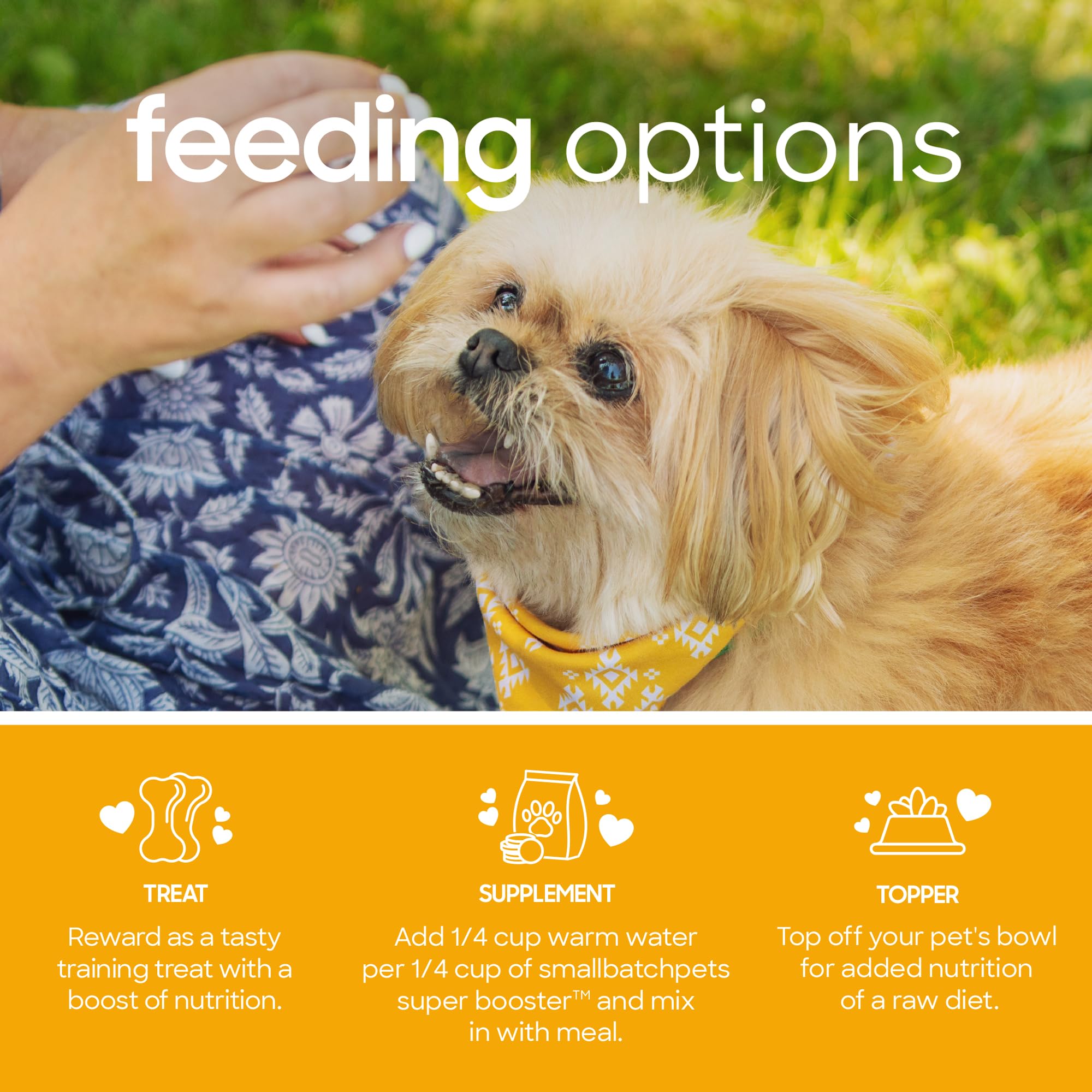 smallbatch Pets Freeze-Dried Super Booster Pork Bites for Dogs & Cats, 7 oz, Made in The USA, Humanely Raised Single Protein Sou