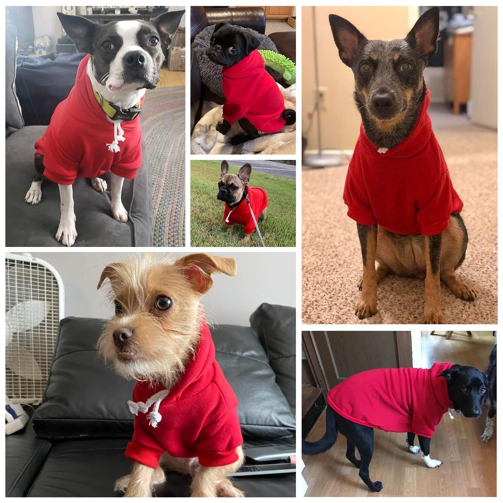 Bingpet Dog Hoodie,Fleece Lined Fall Cold Winter Dog Puppy Sweatshirt With Leash Hole,Soft Warm Dog Sweaters Outfit,Pullover Hoodie For Small Medium Large Dogs Cats Boys And Girls(Red,Xxl)