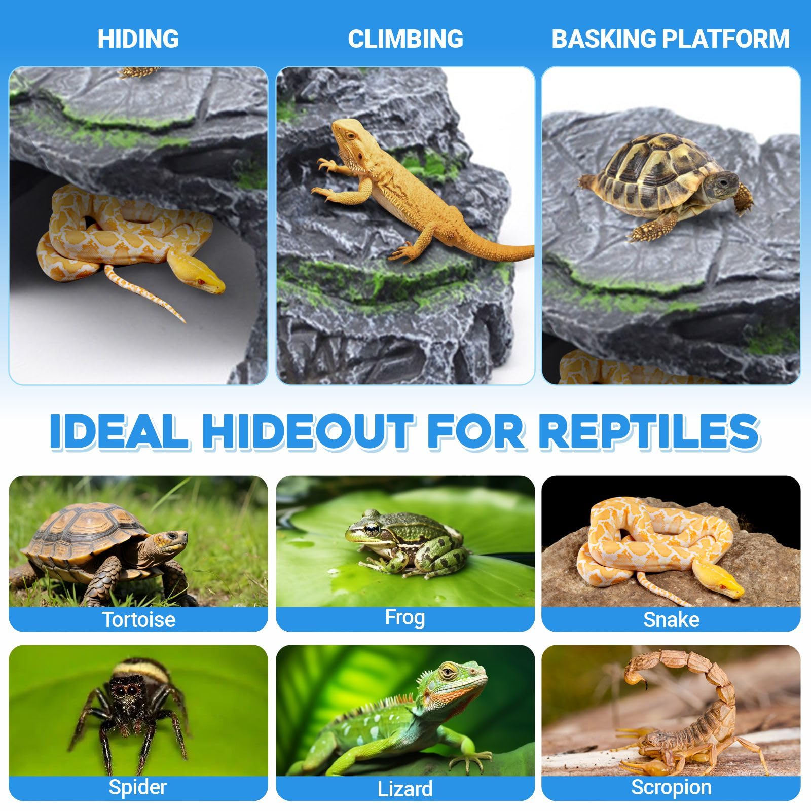 GOZILLA Turtle Basking Platform,Turtle Tank Decoration for Aquariums and Terrarium.Step & Cave Reptile Habitat Hideout for Torto